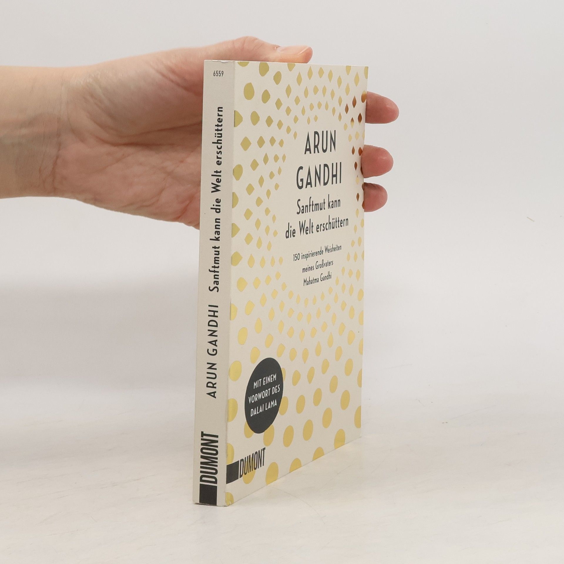 Arun Manilal Gandhi Sanftmut kann die Welt erschüttern