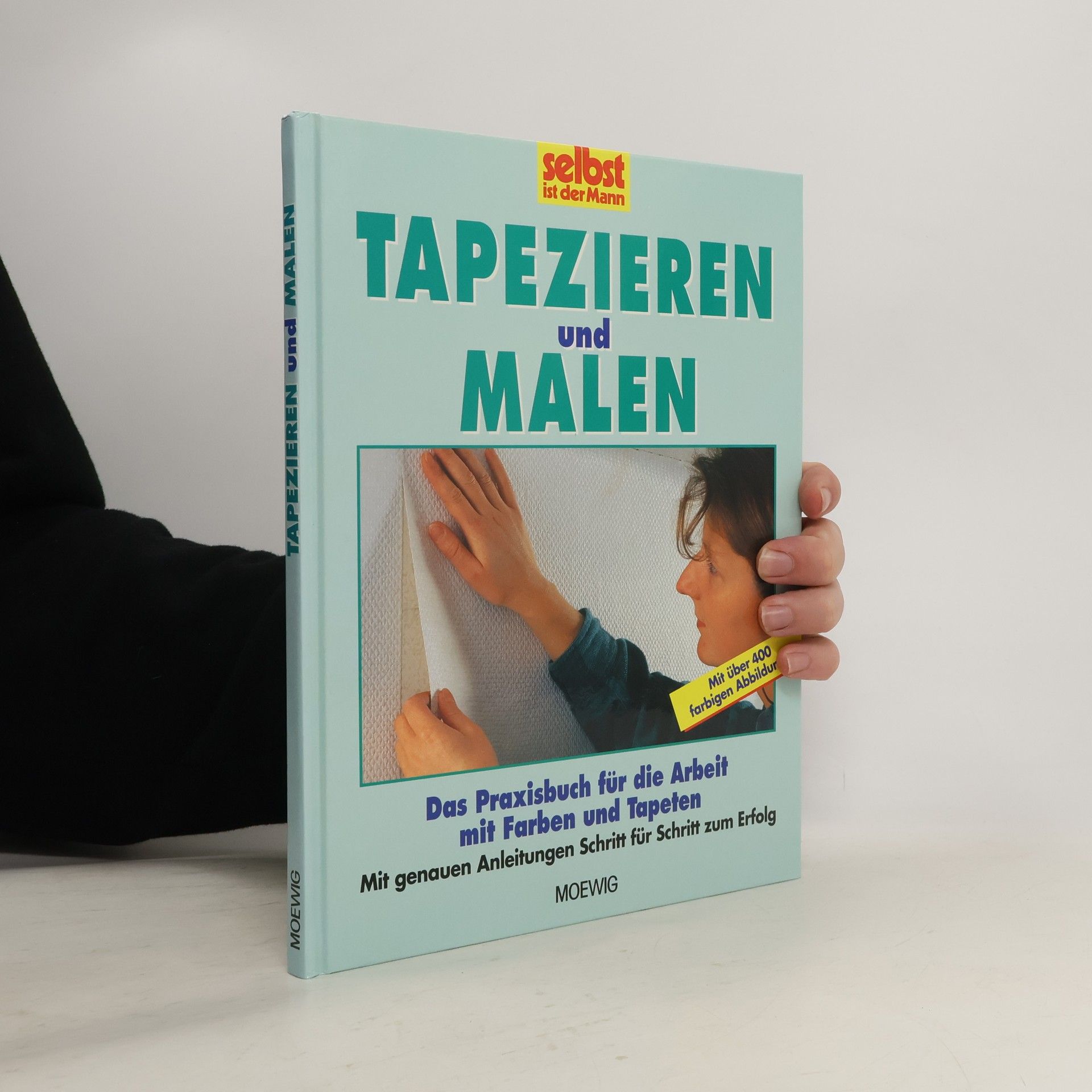 Hans Altmeyer Tapezieren und malen