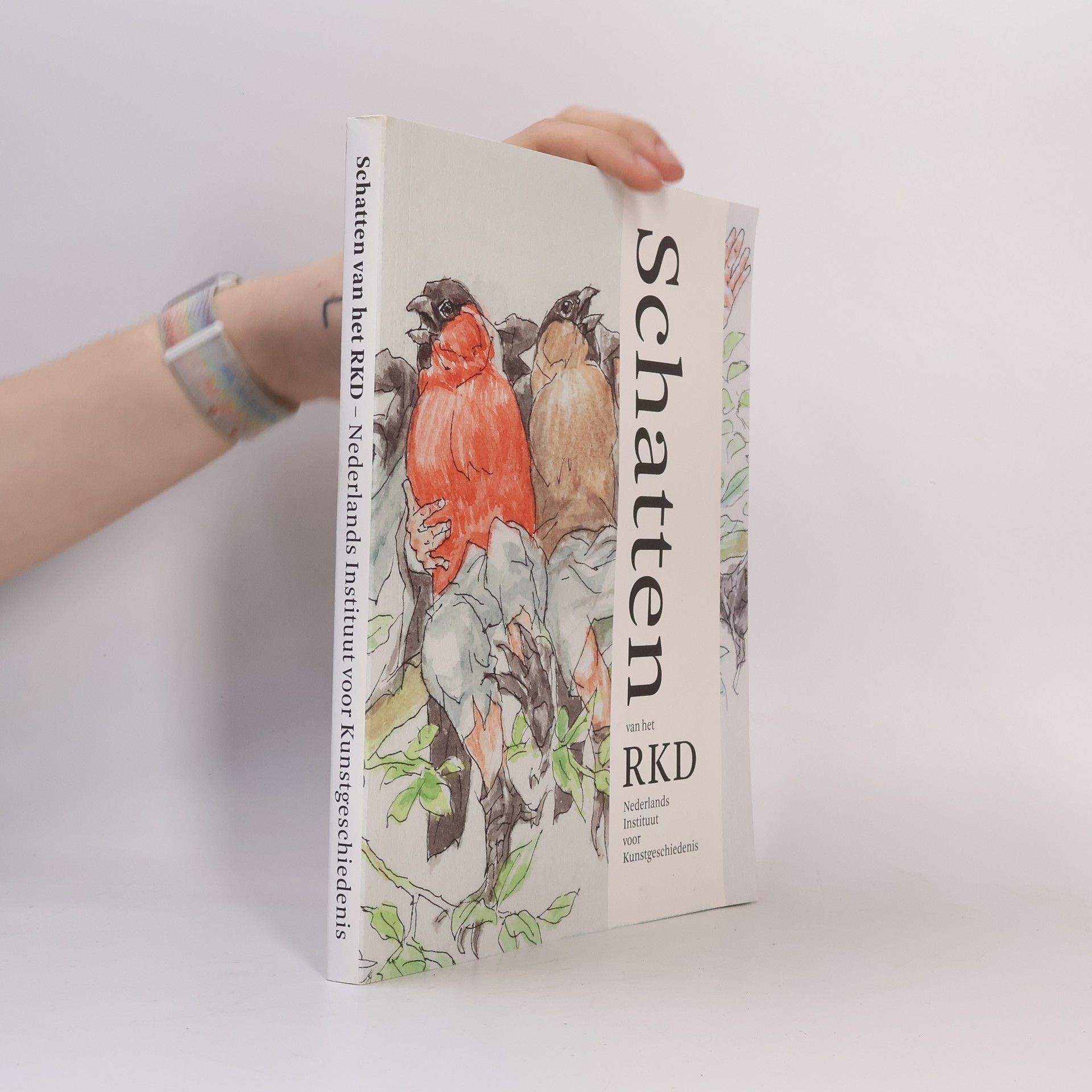 Yvonne Bleyerfeld Schatten van het RKD, Nederlands Instituut voor Kunstgeschiedenis