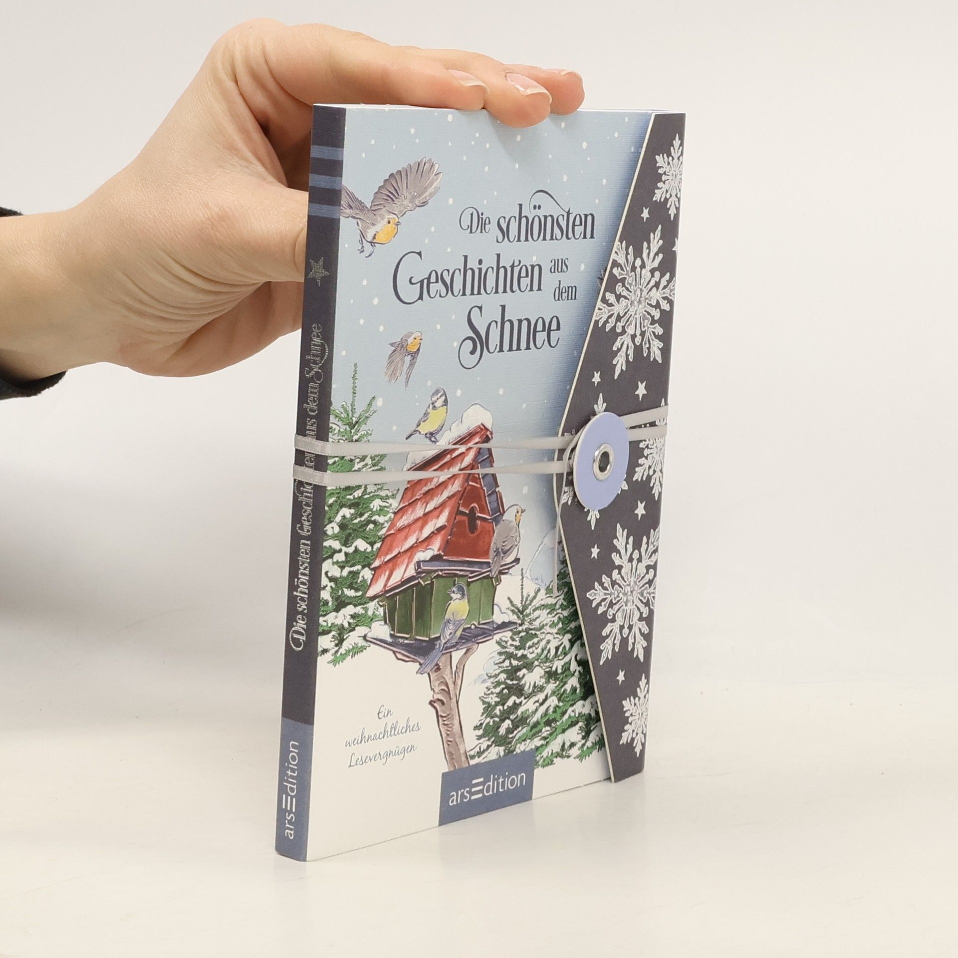 Anna Frohmann Die schönsten Geschichten aus dem Schnee