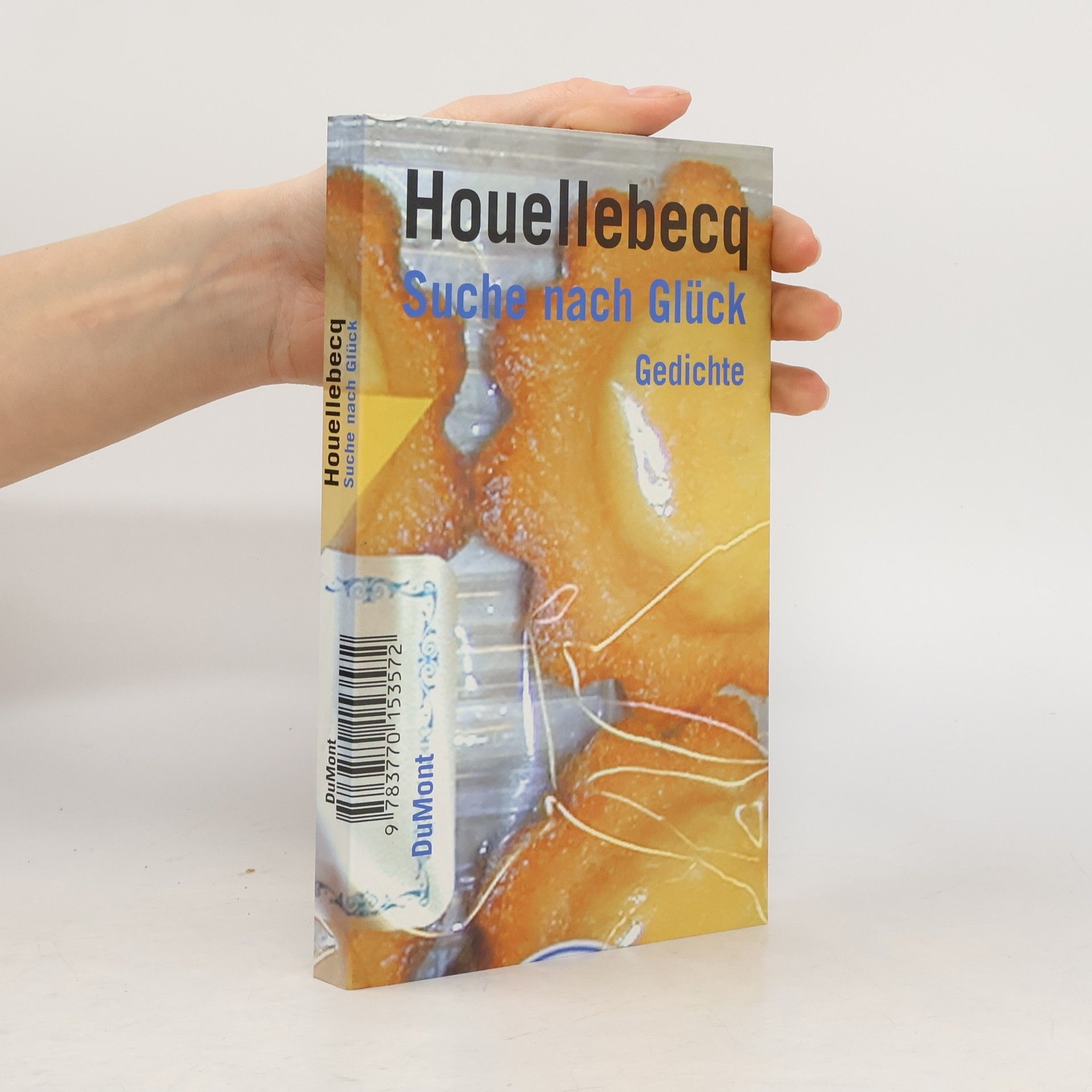 Michel Houellebecq Suche nach Glück