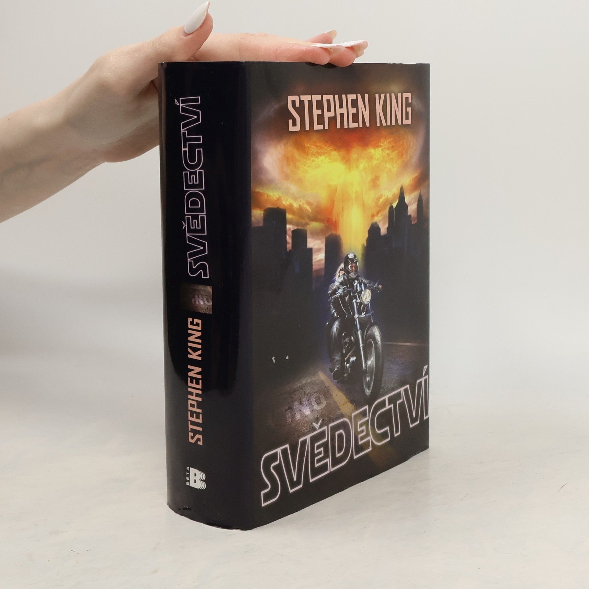 Stephen King Svědectví