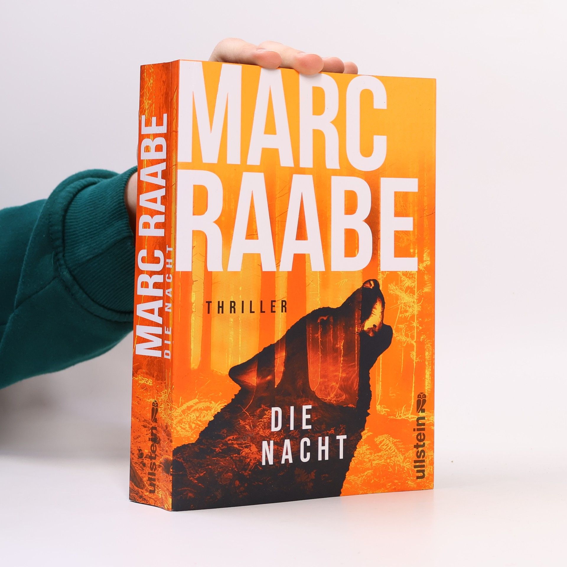 Marc Raabe Die Nacht