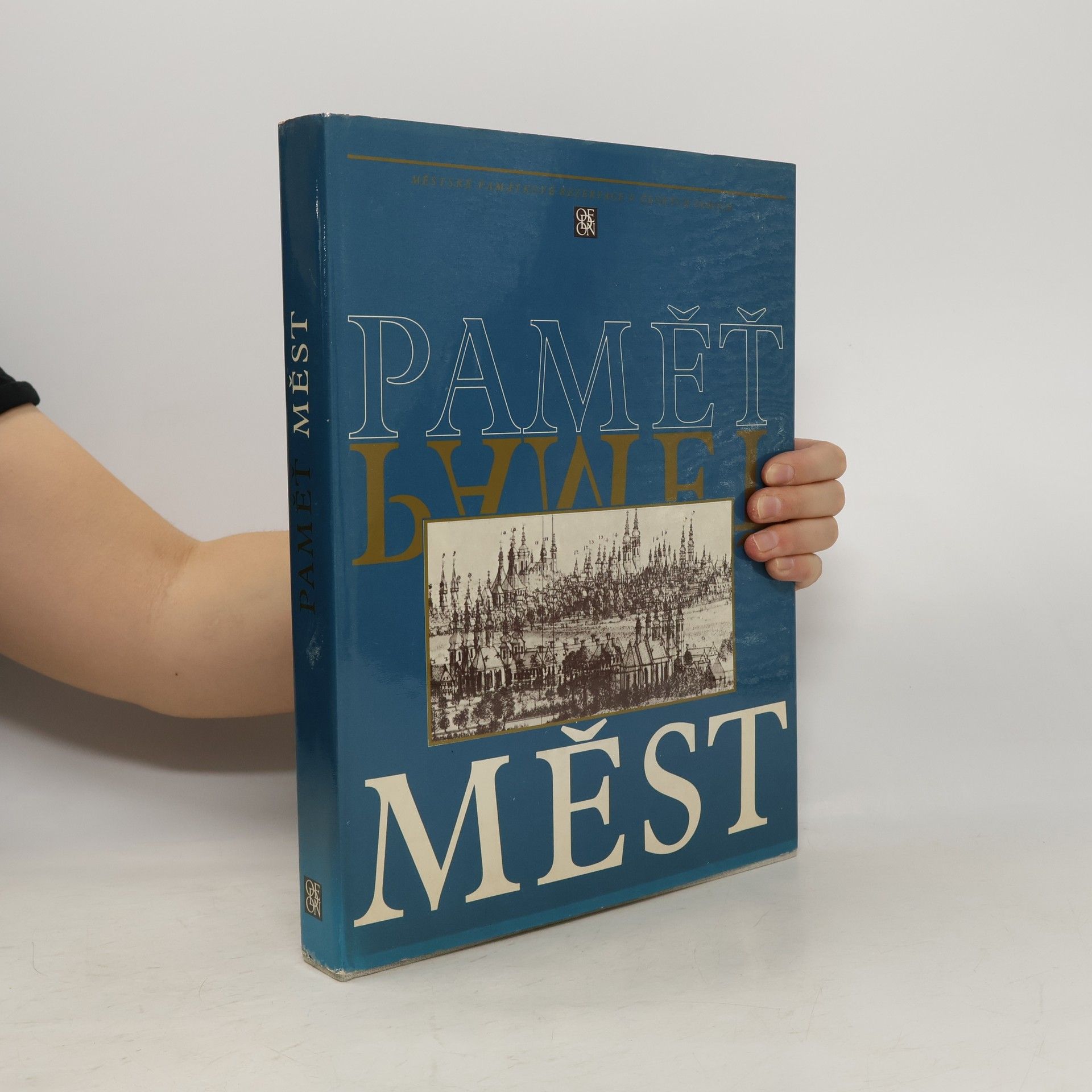 Autorenkollektiv Paměť měst