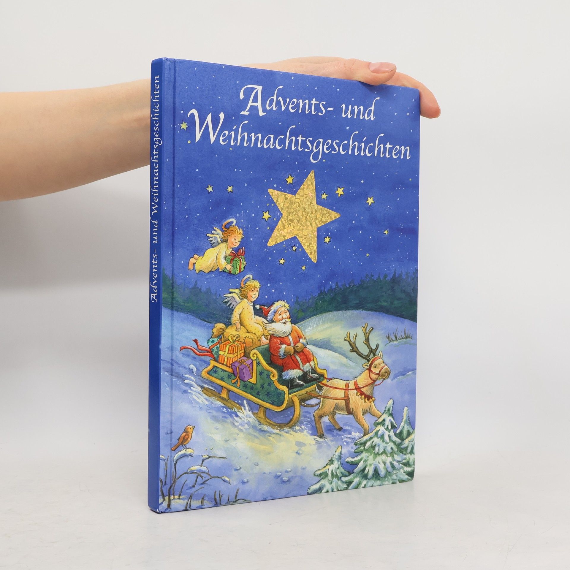 Autorenkollektiv Advents- und Weihnachtsgeschichten