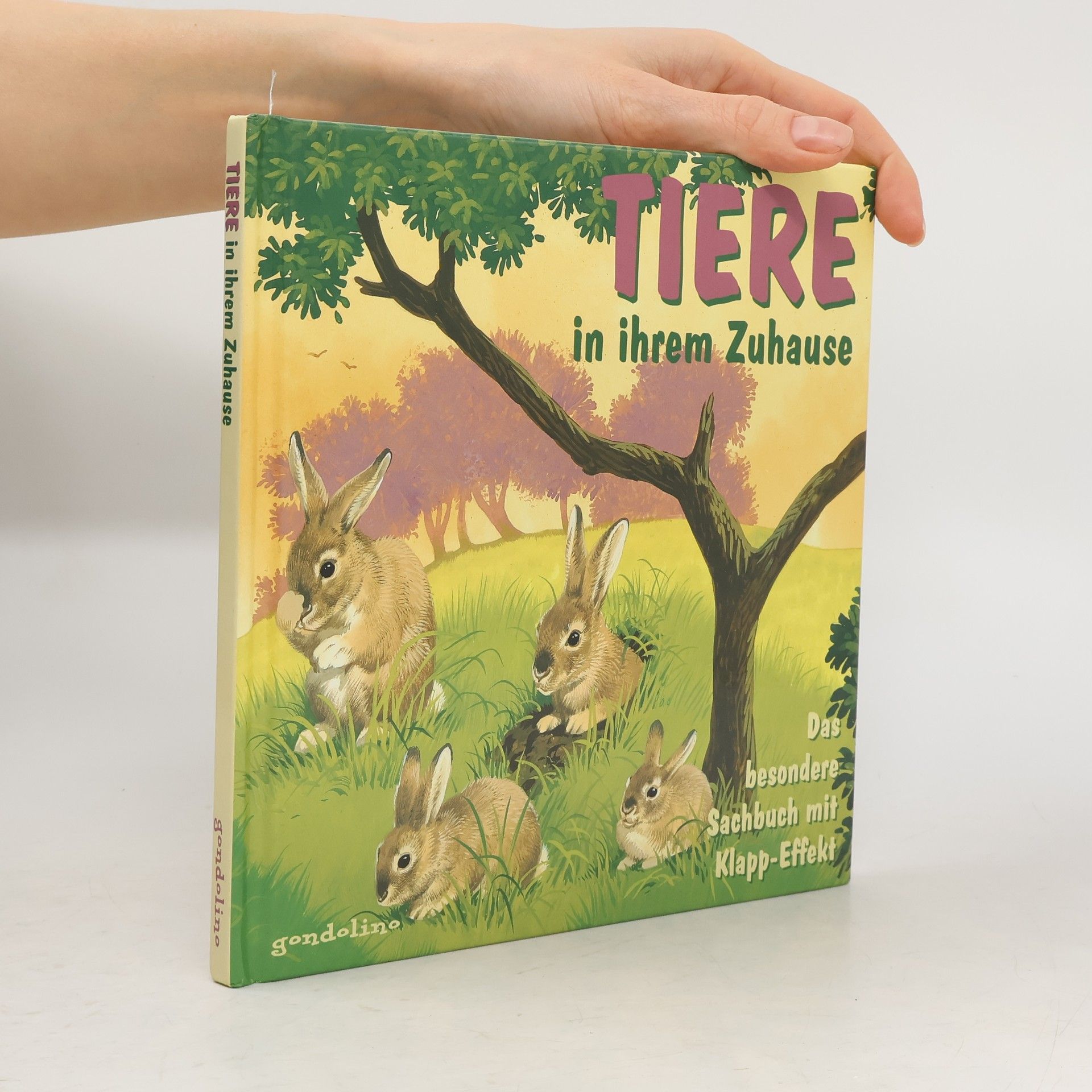 Wendy Madgwick Tiere in ihrem Zuhause