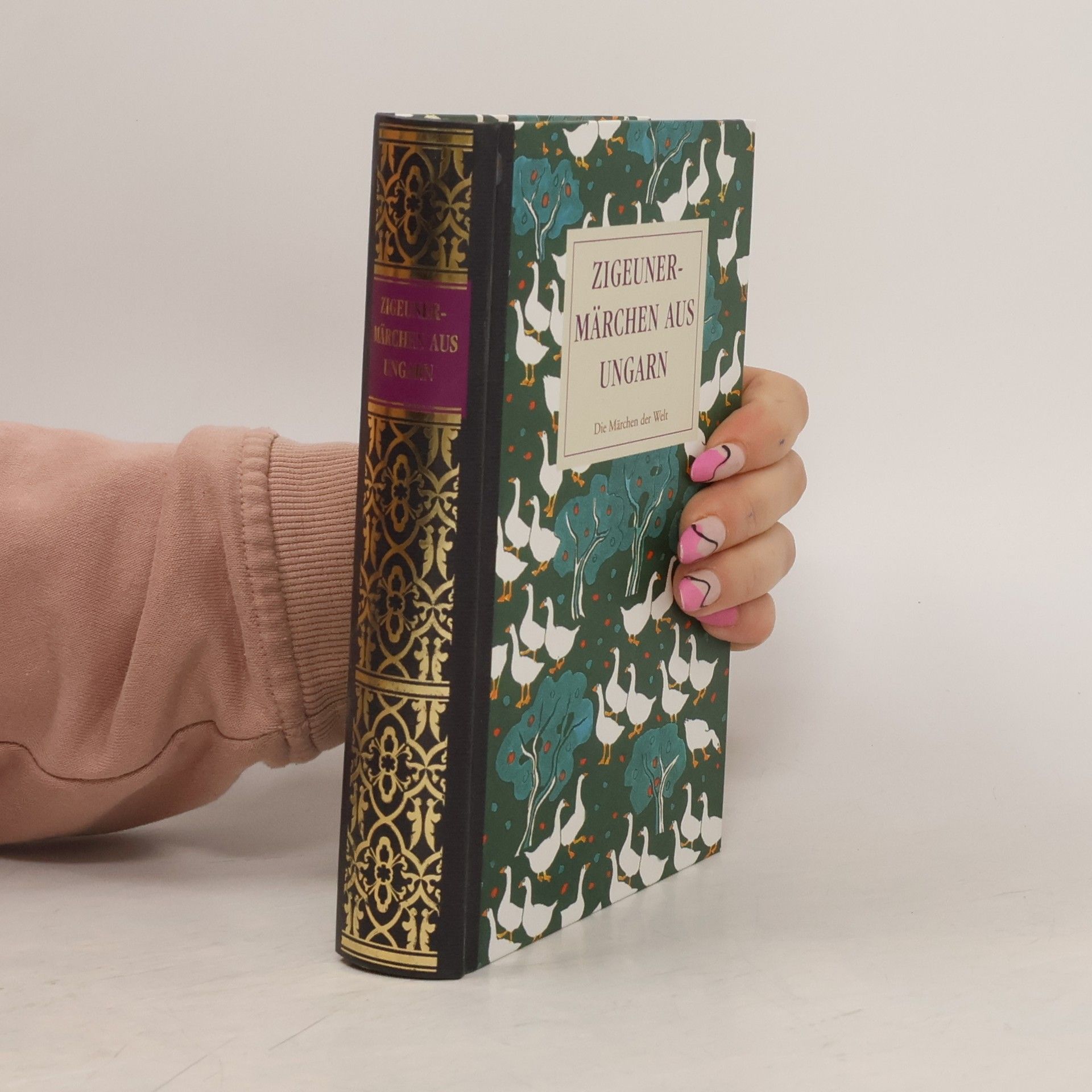 Sándor Erdész Zigeunermärchen aus Ungarn