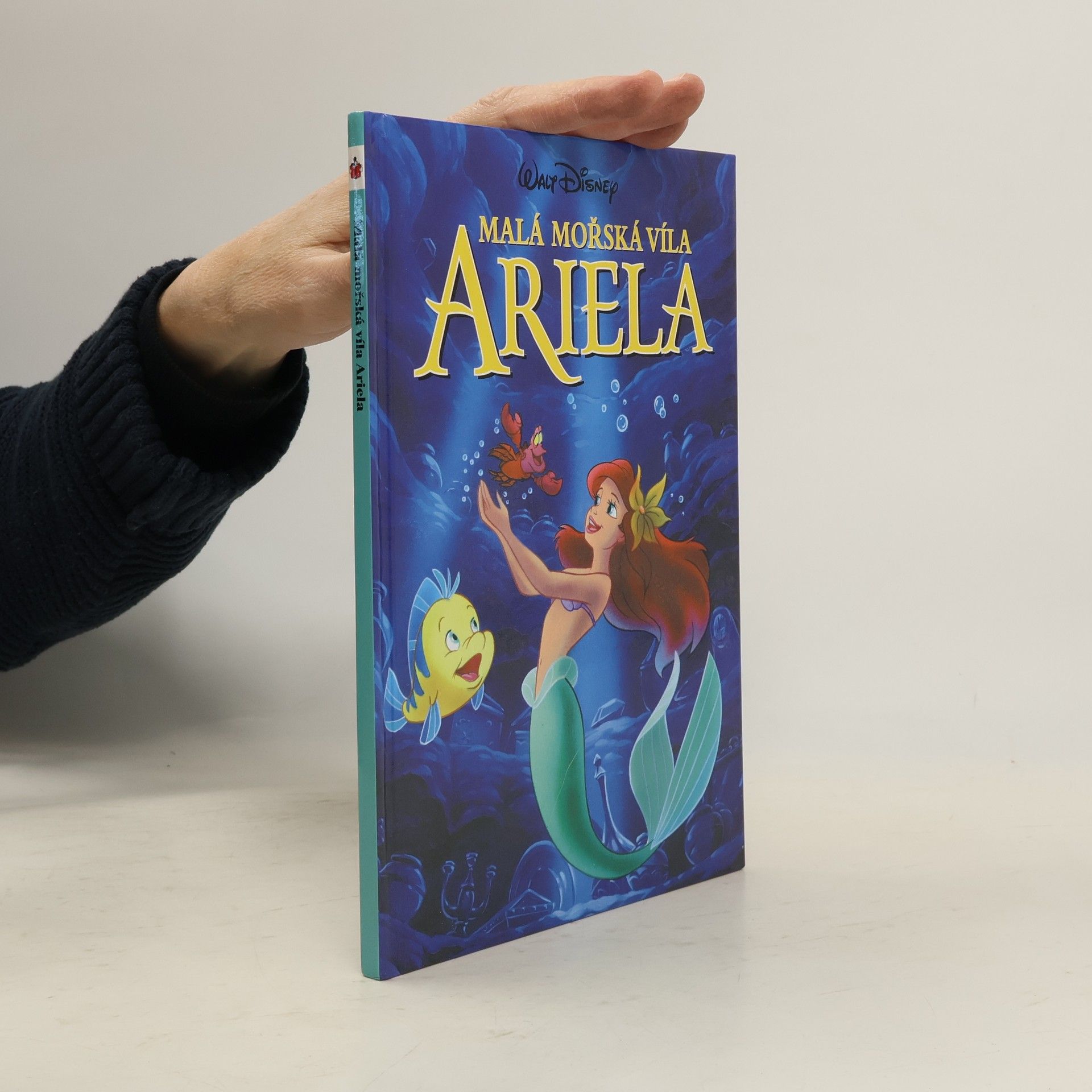 Various authors Malá mořská víla Ariela