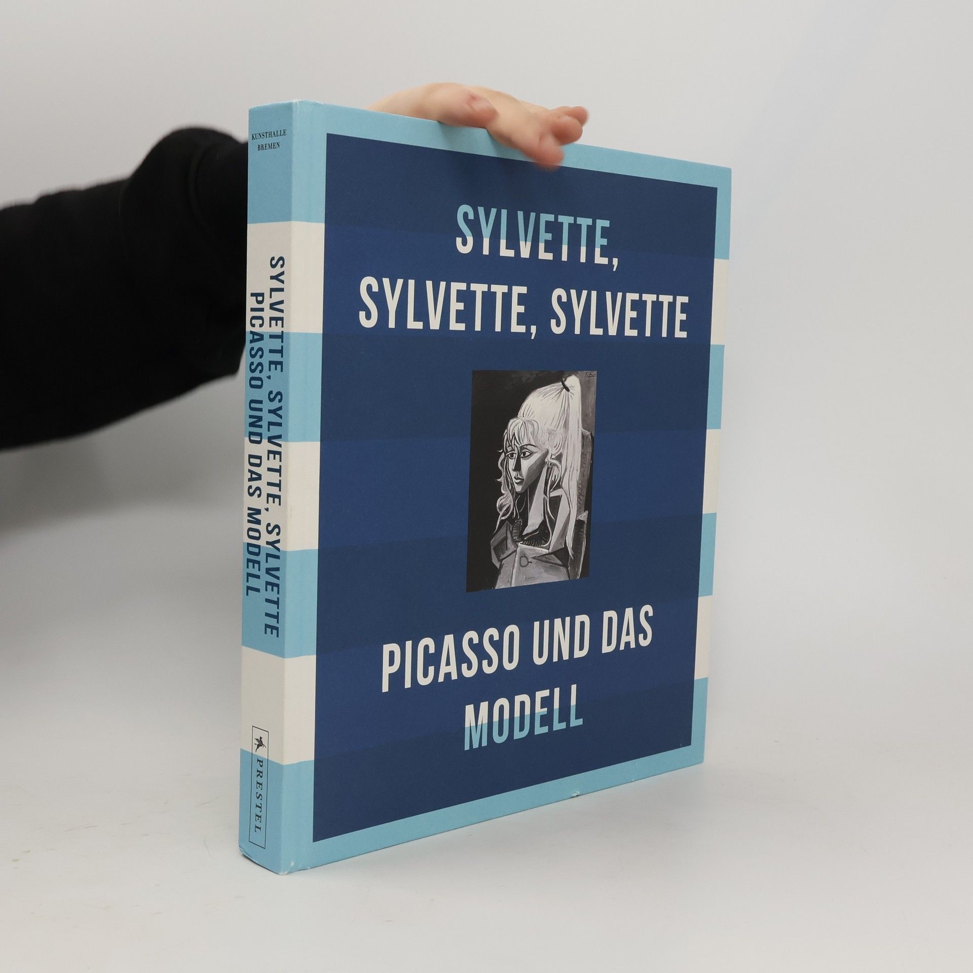 Picasso und das Modell