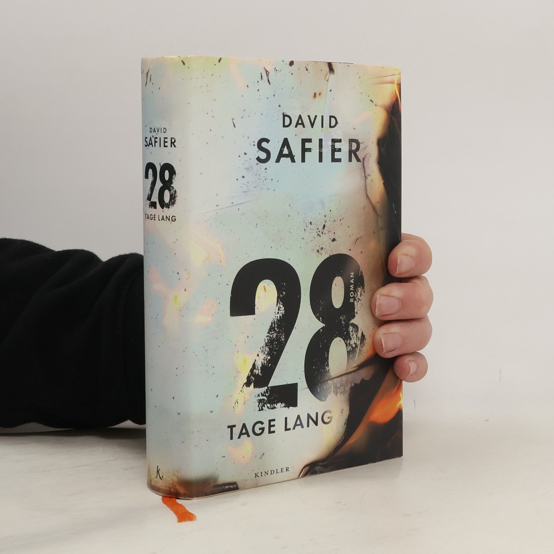 David Safier 28 Tage lang