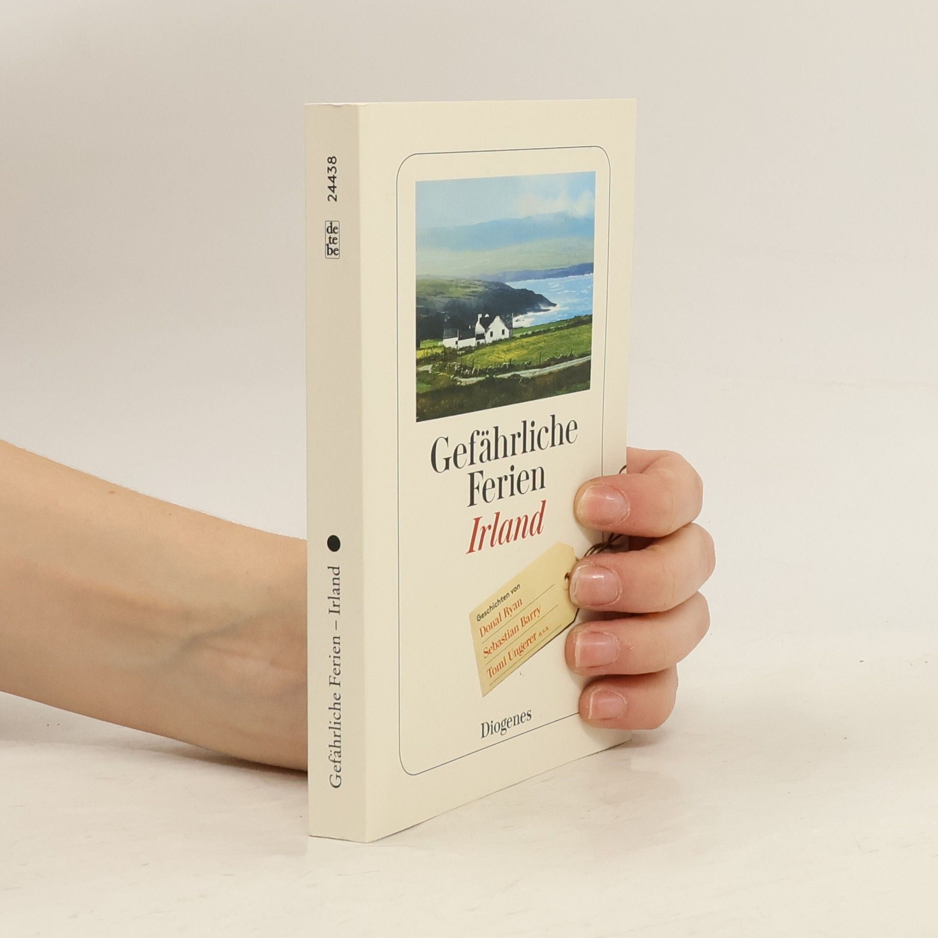 Gefährliche Ferien - Irland