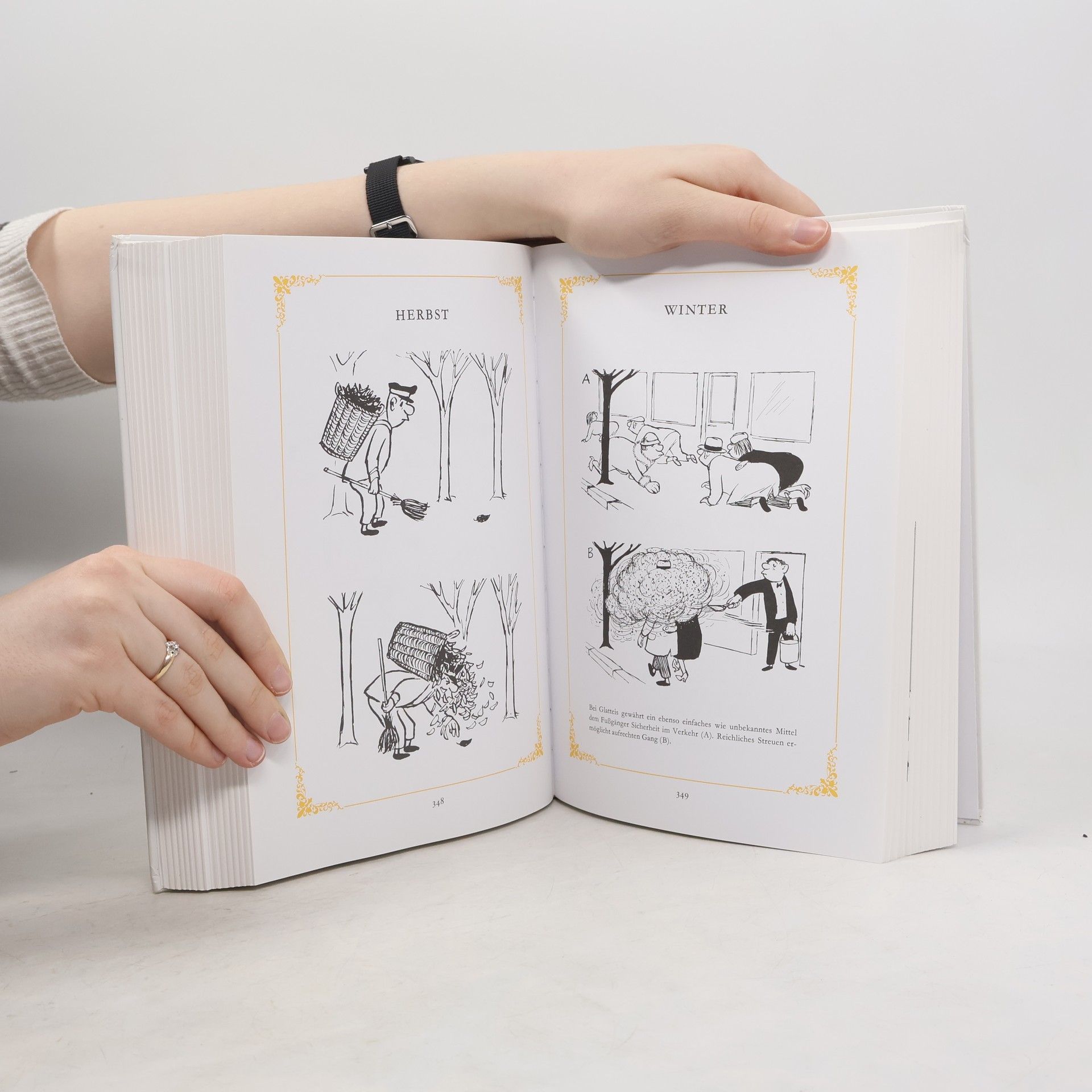 Kolektív autorov Das große Loriot Buch
