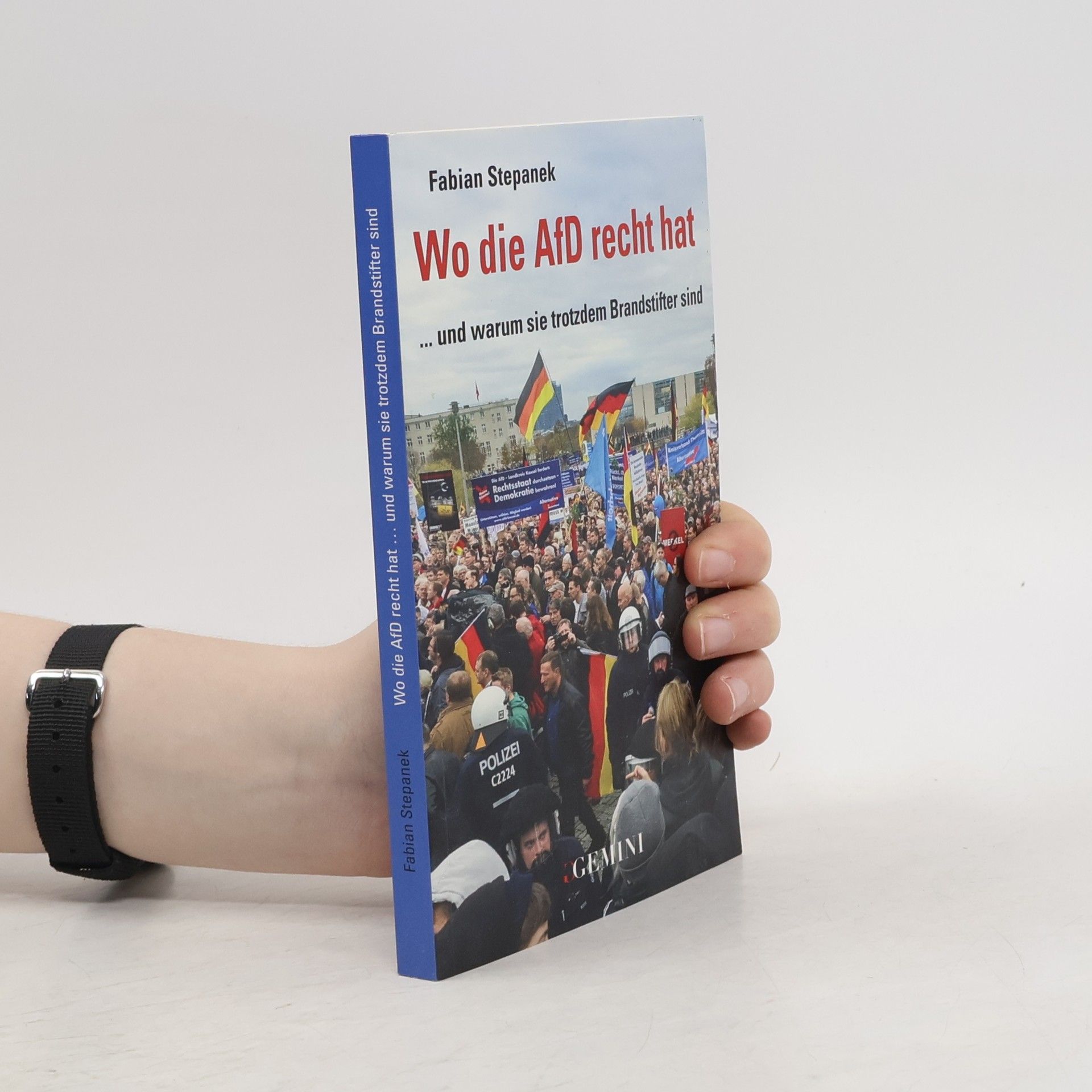 Fabian Stepanek Wo die AfD Recht hat