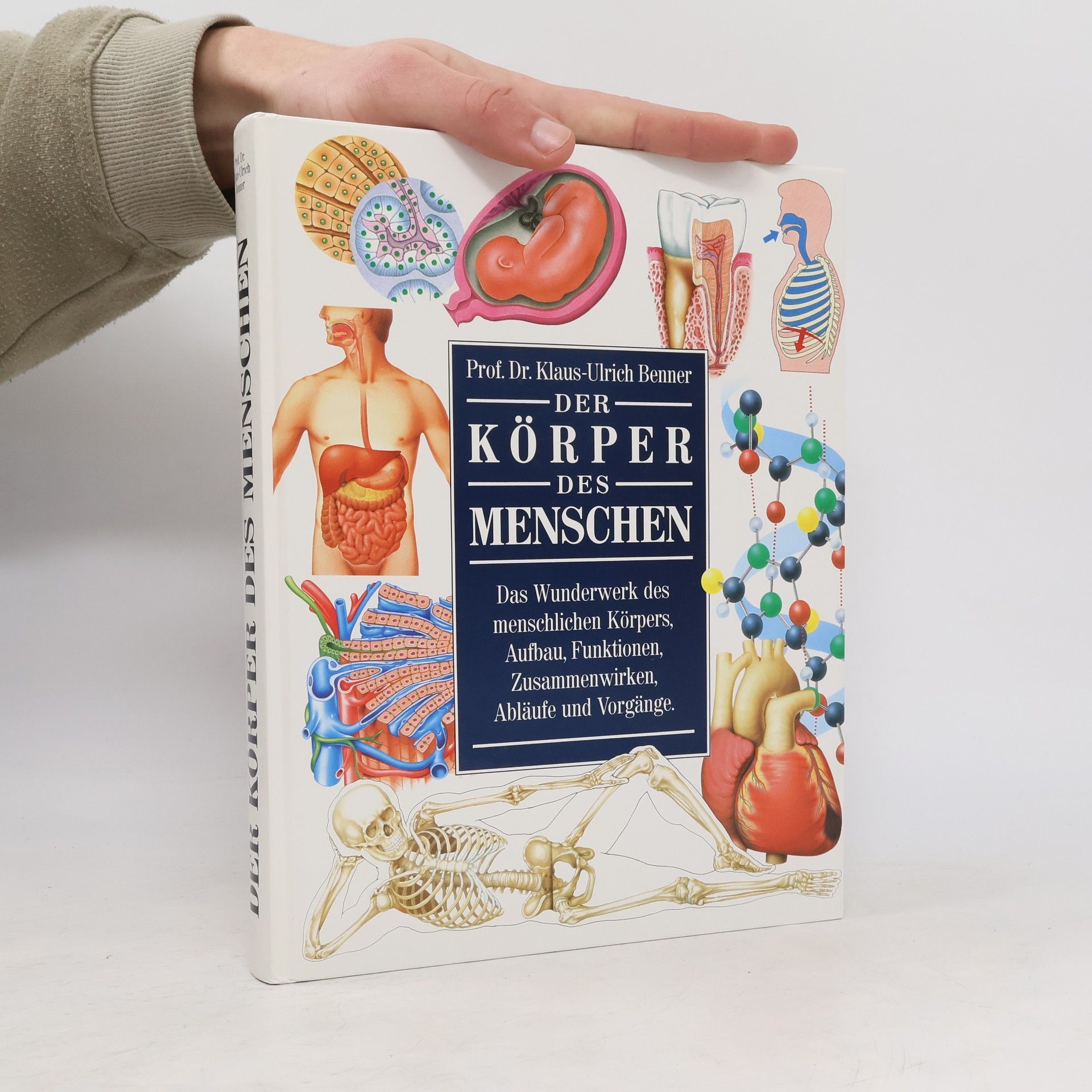 Klaus-Ulrich Wermann Der Körper des Menschen