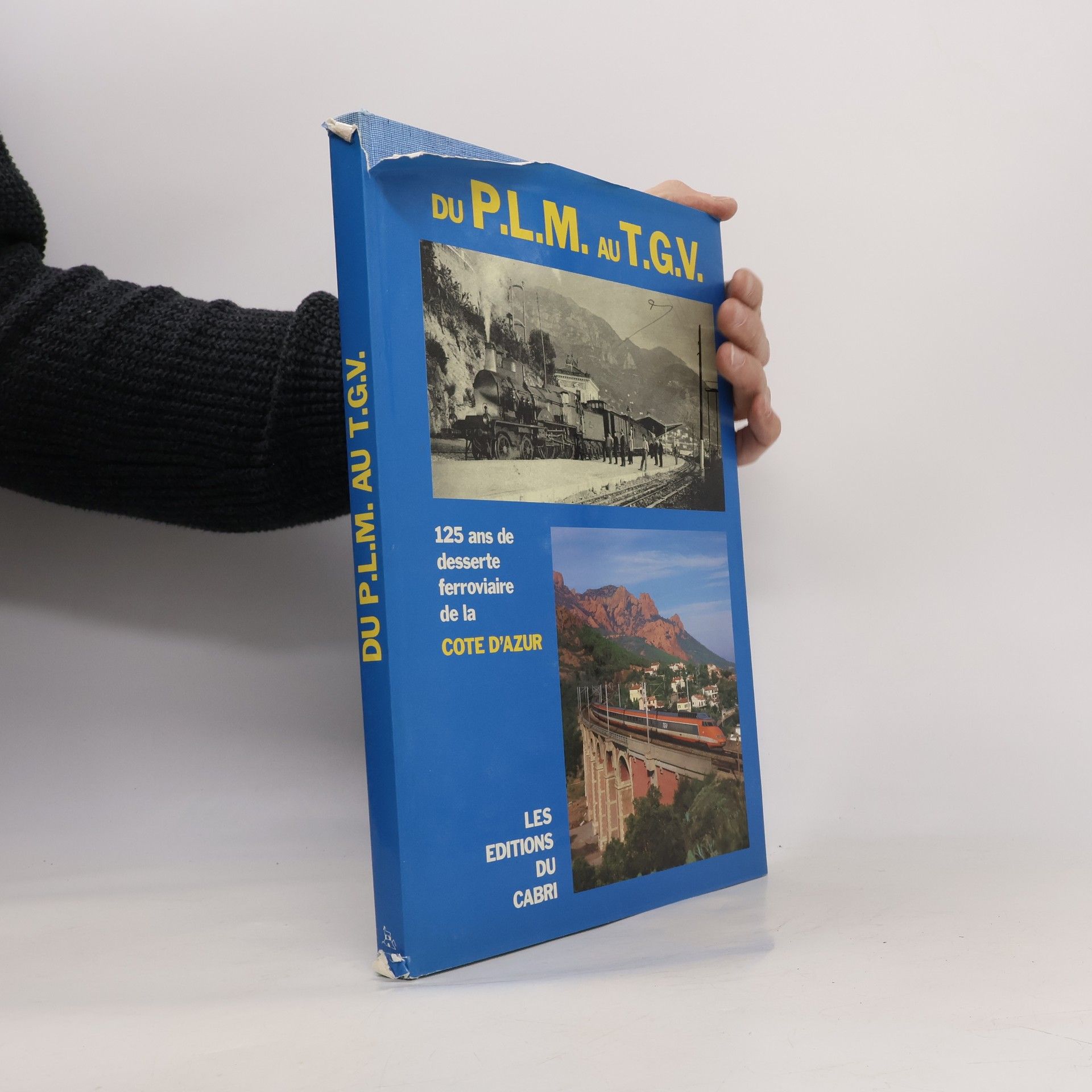 Jose Banaudo Du P.L.M. au T.G.V.