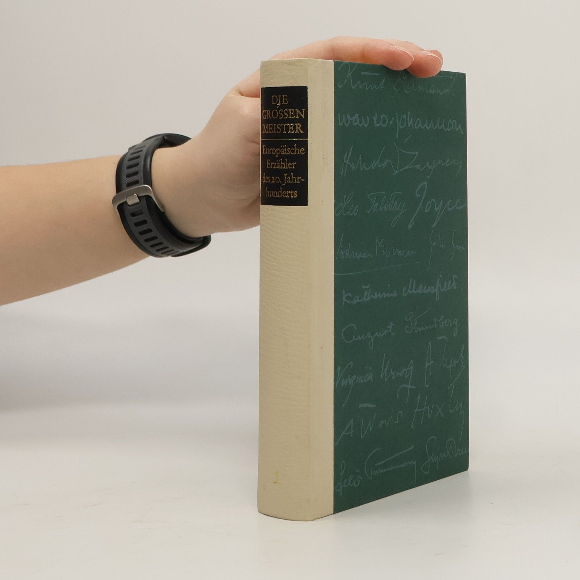 Rolf Hochhuth Die grossen Meister : Deutsche Erzähler des 20. Jahrhunderts. 1. band