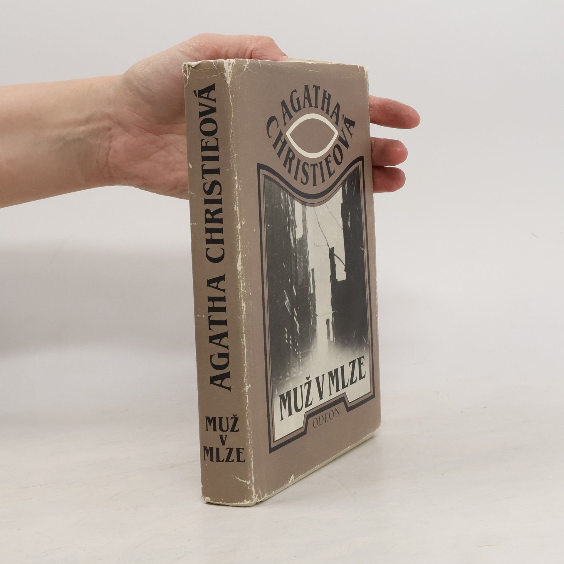 Agatha Christie Muž v mlze