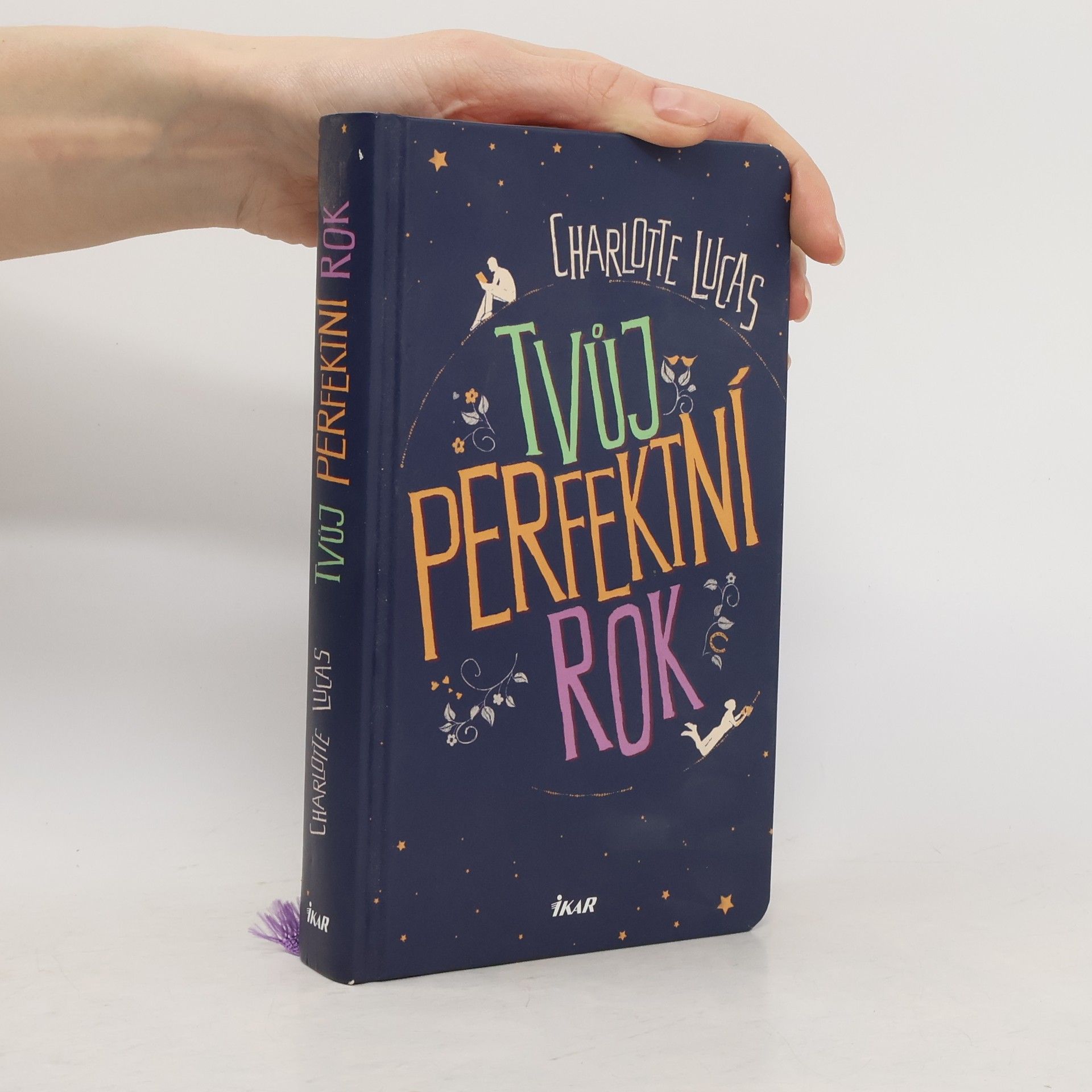 Charlotte Lucas Tvůj perfektní rok