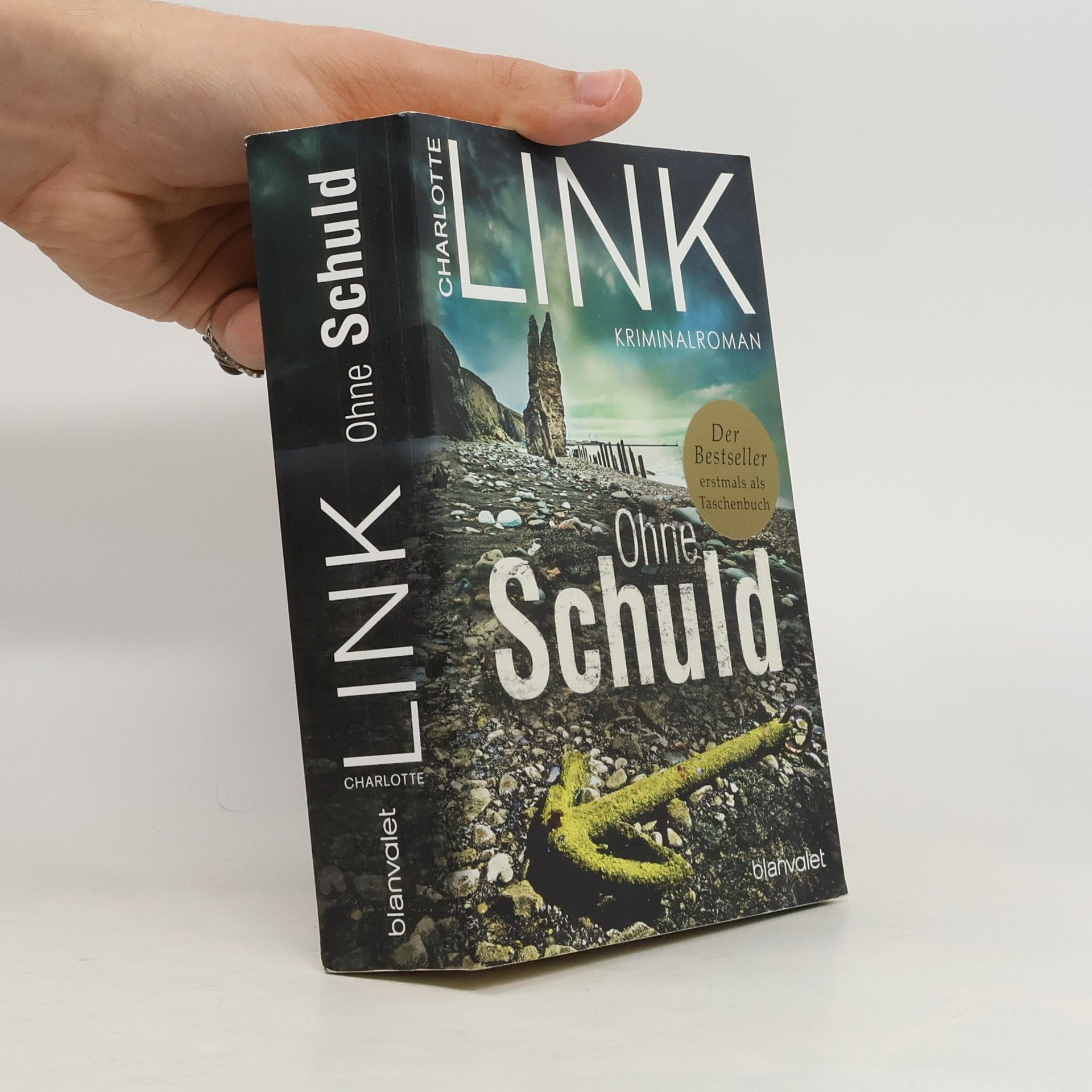 Charlotte Link Ohne Schuld