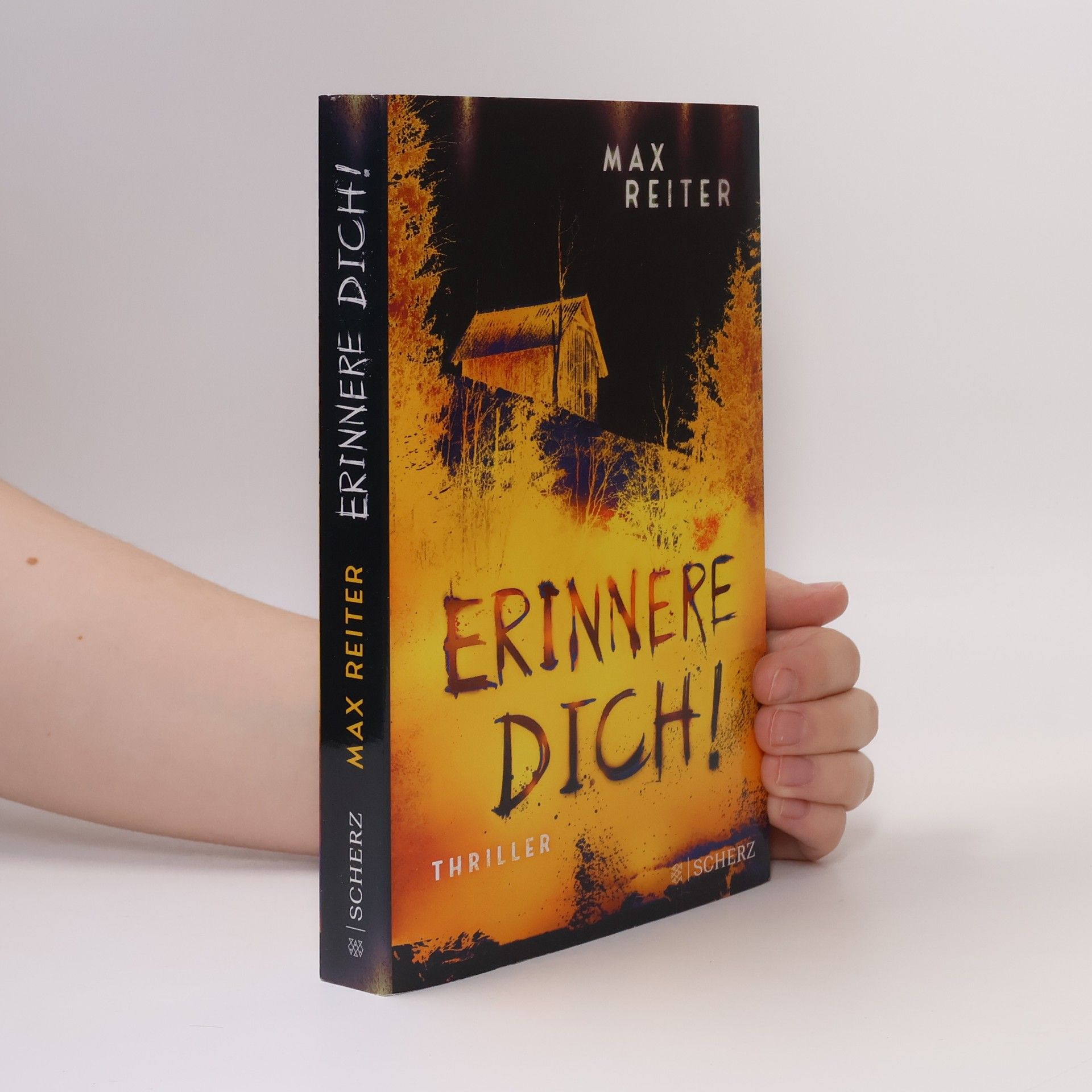 Max Reiter Erinnere dich!