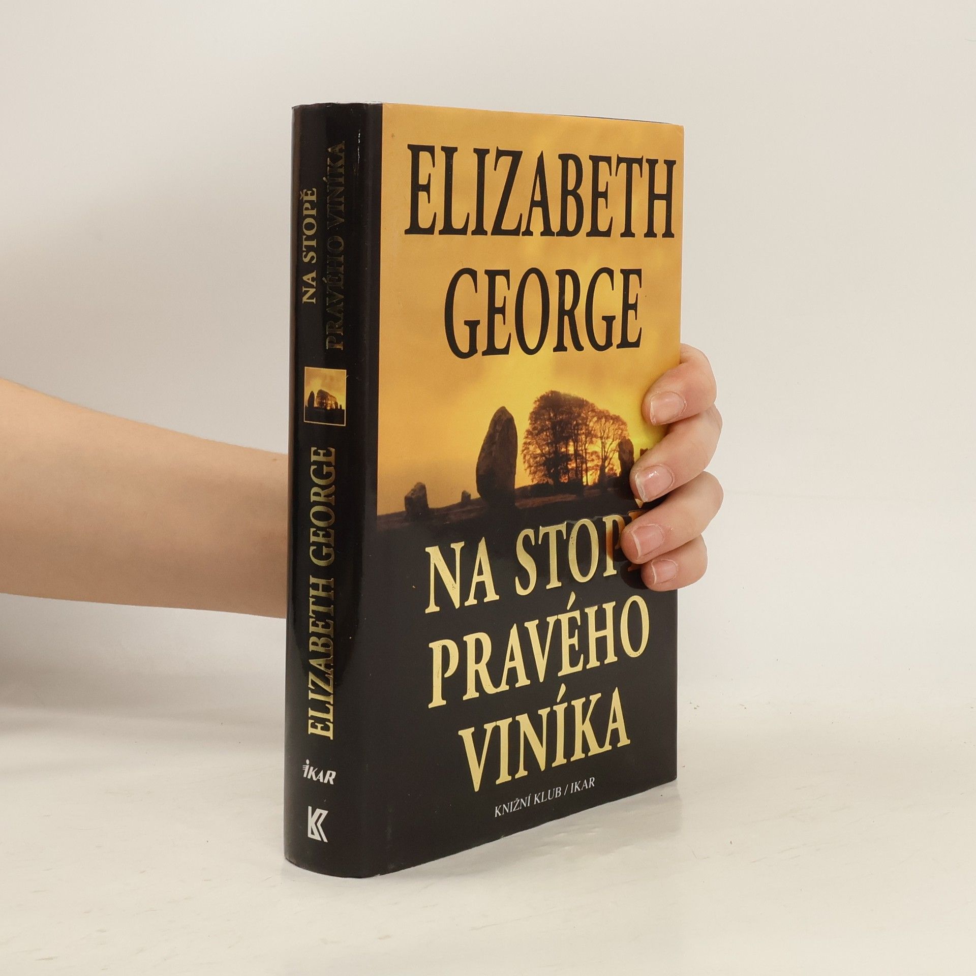 Elizabeth George Na stopě pravého viníka