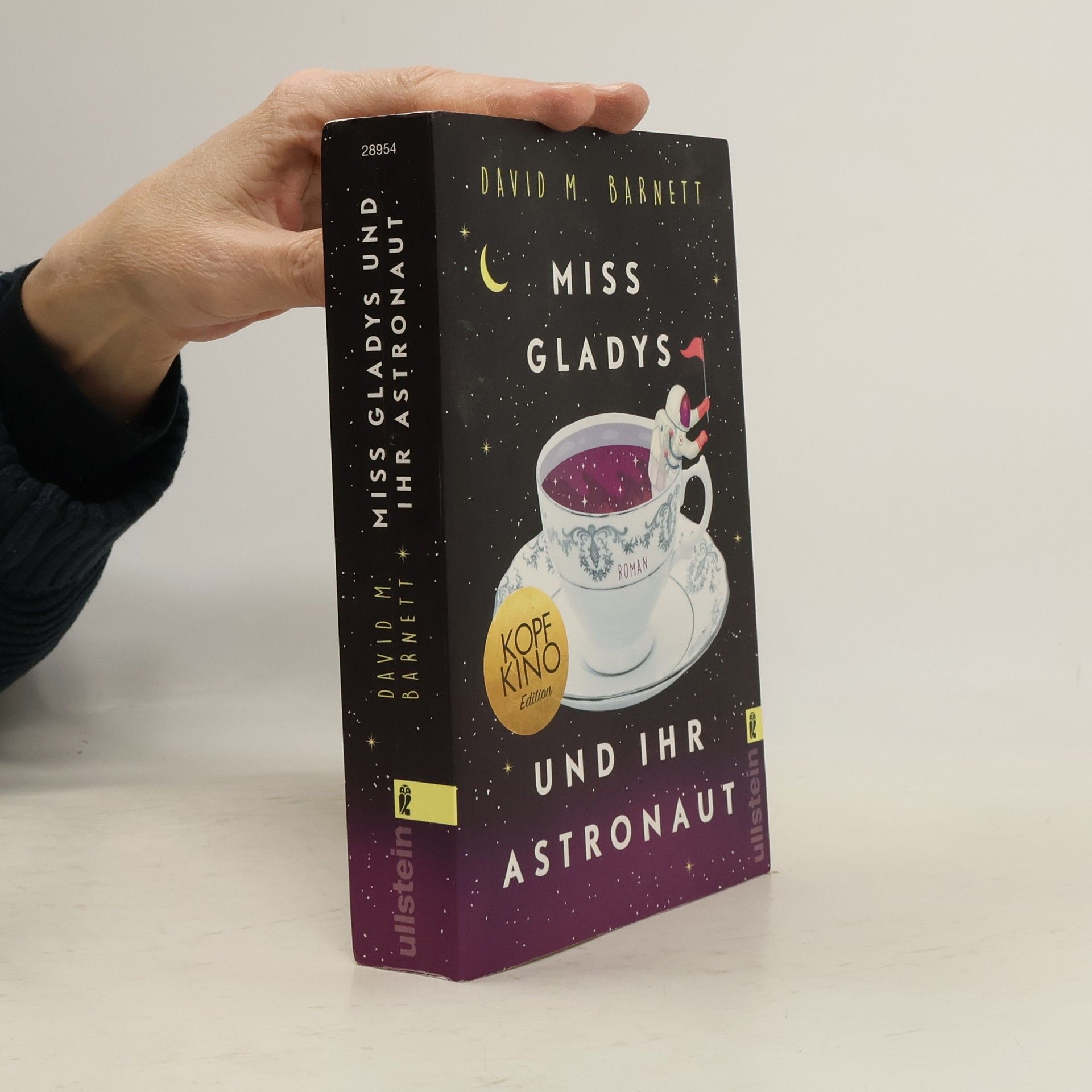 David Barnett Miss Gladys und ihr Astronaut