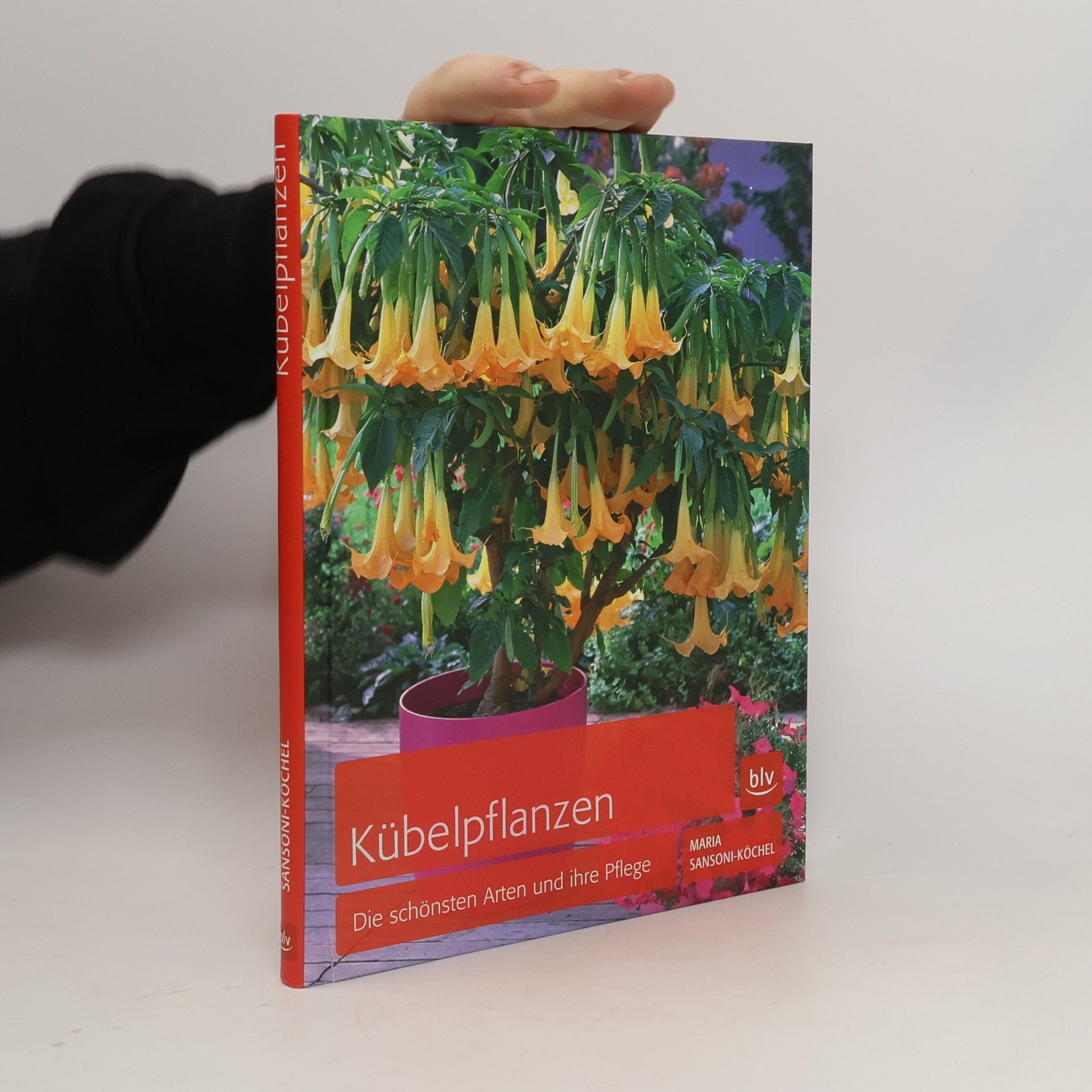 Maria Sansoni-Köchel Kübelpflanzen