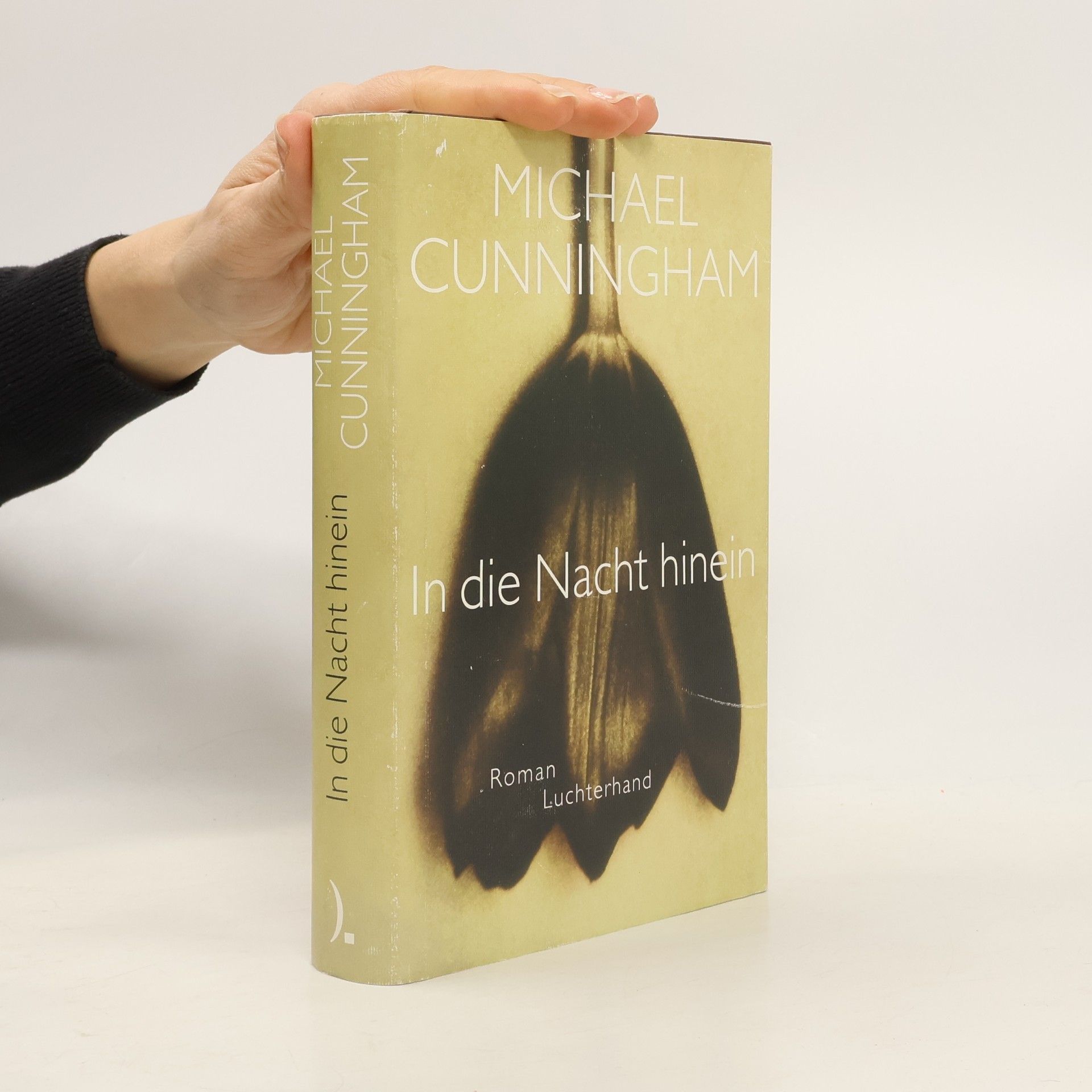 Michael Cunningham In die Nacht hinein