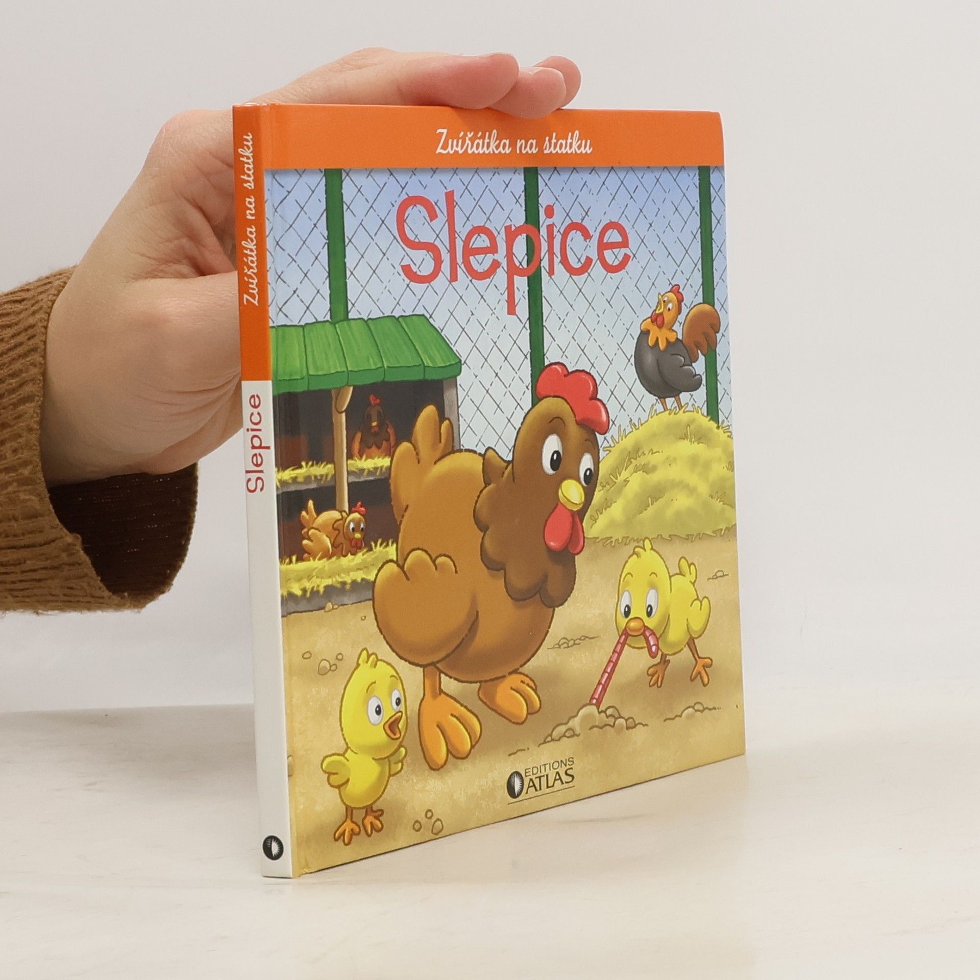 Kolektiv autorů Slepice, kohout a kuřata