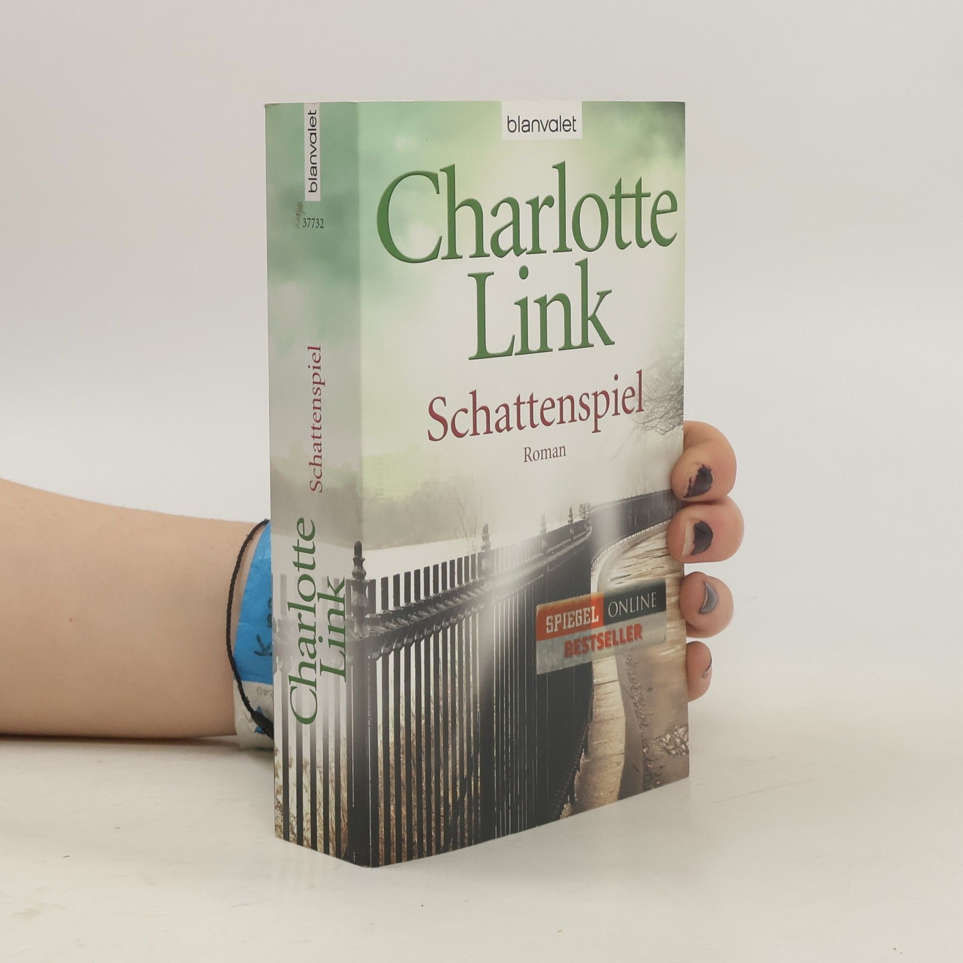 Charlotte Link Schattenspiel