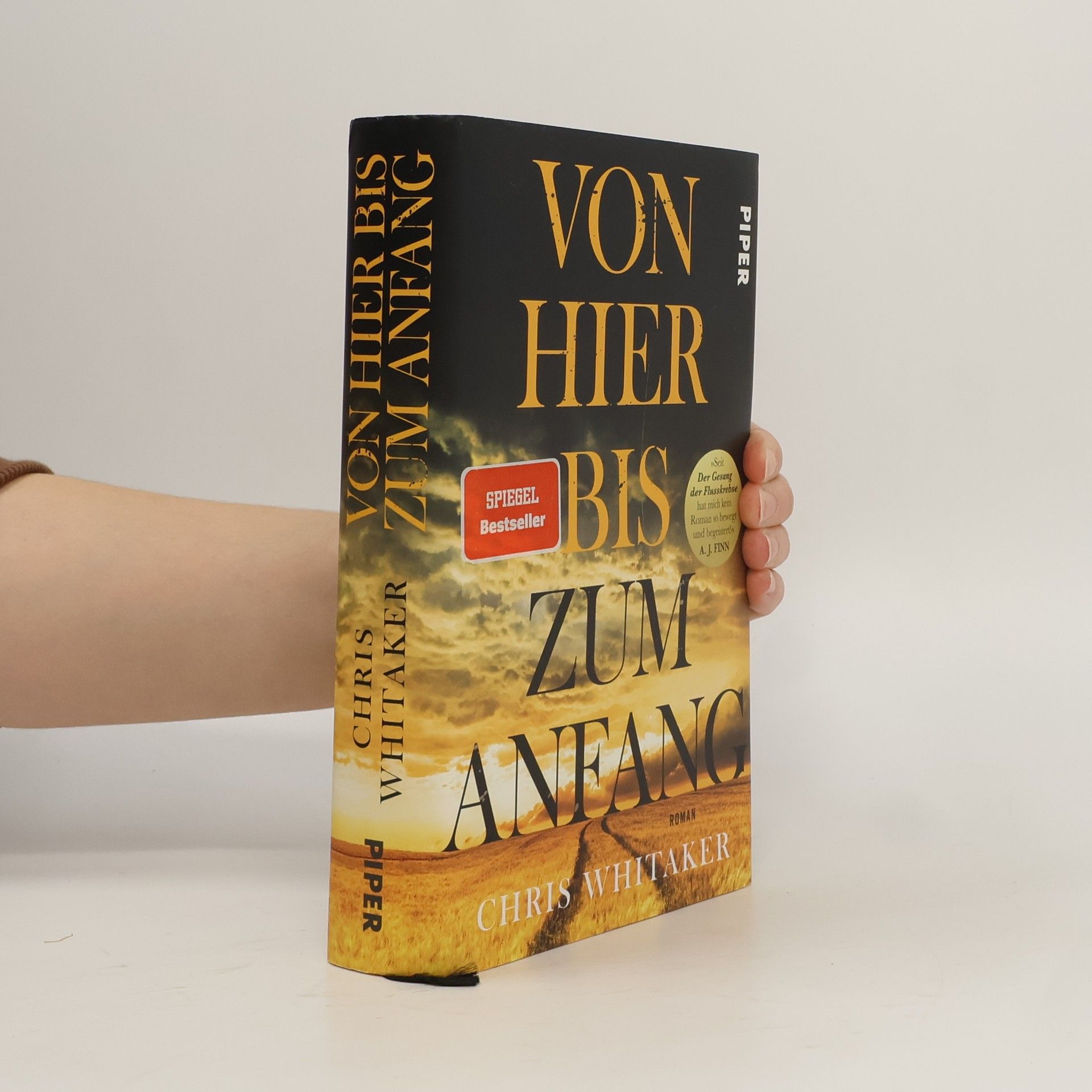 Chris Whitaker Von hier bis zum anfang