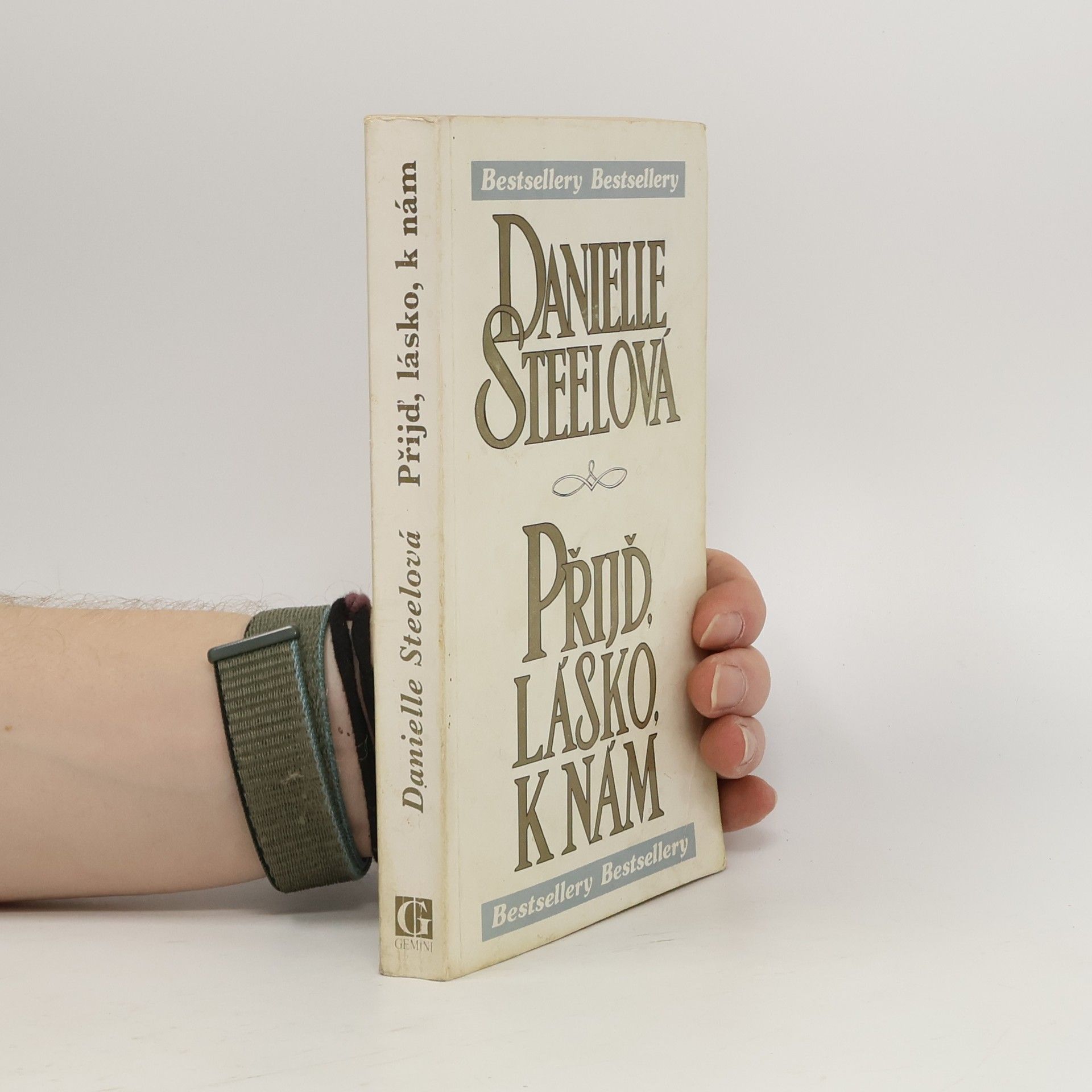 Danielle Steel Príď, láska, k nám