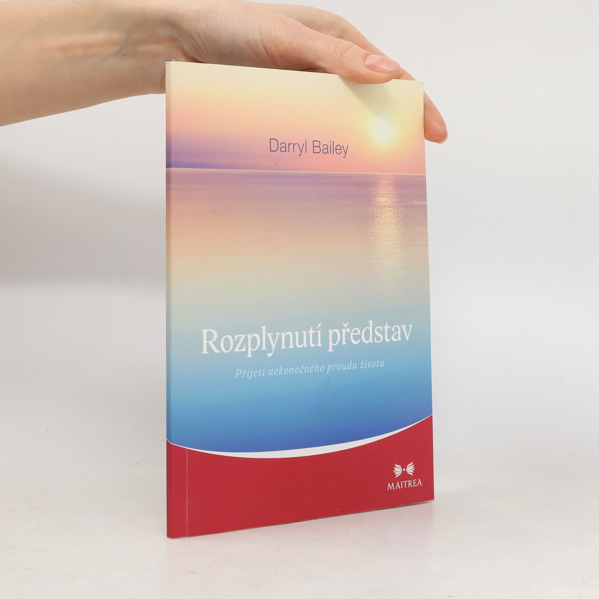 Darryl Bailey Rozplynutí představ: Přijetí nekonečného proudu života
