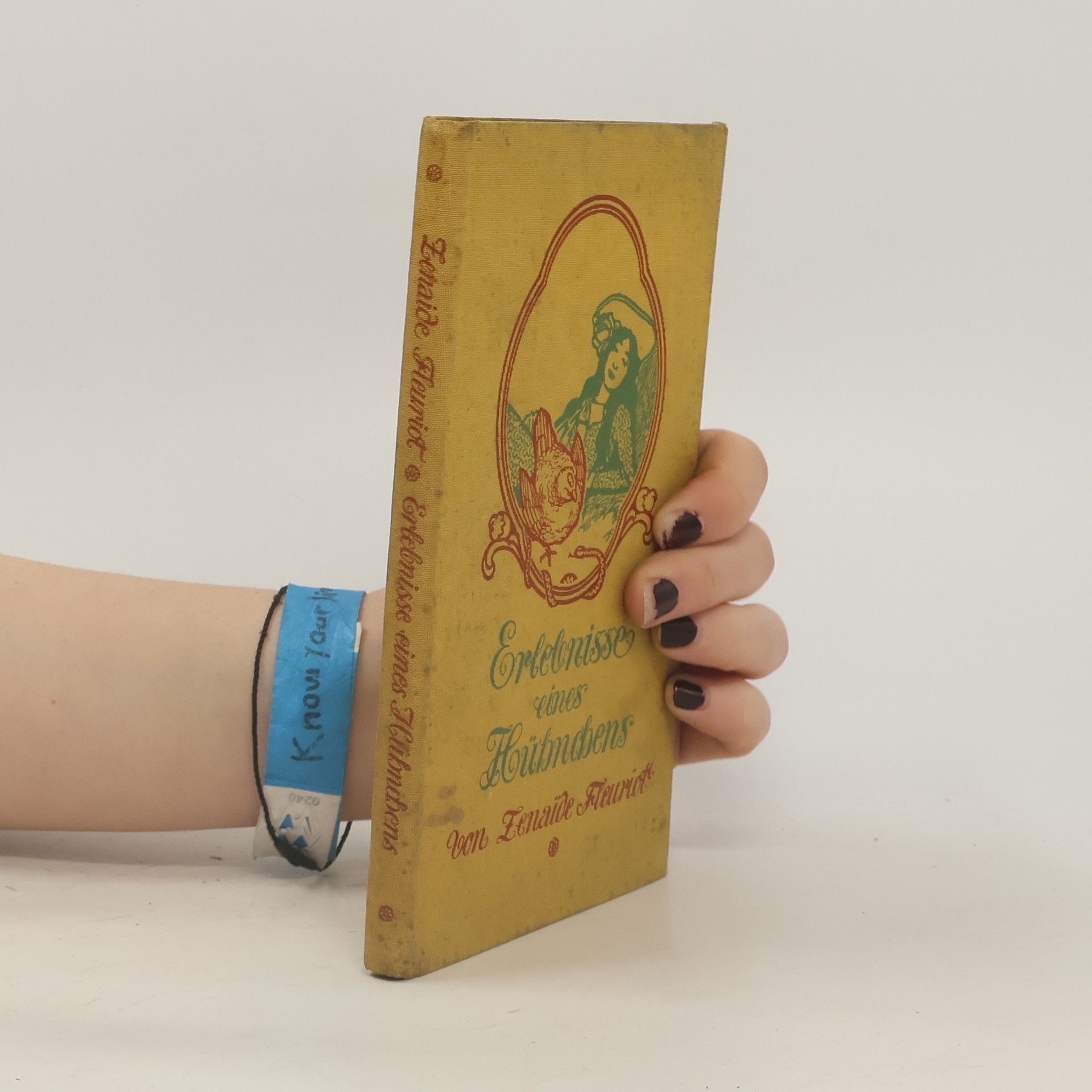 Zénaïde Fleuriot Erlebnisse eines Hühnchens von ihm selbst geschildert