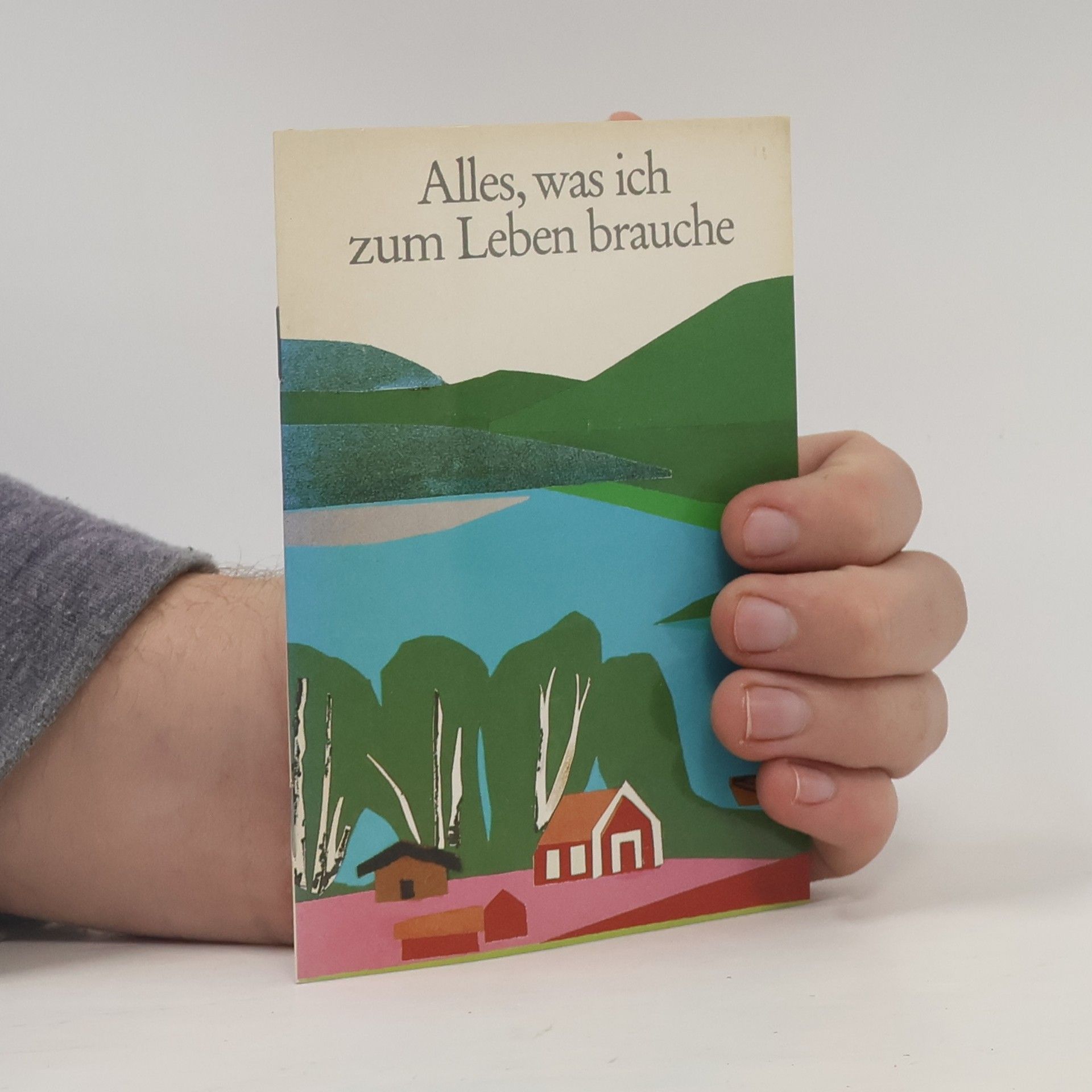 Hanna Ahrens Alles, was ich zum Leben brauche (Heftkarten)