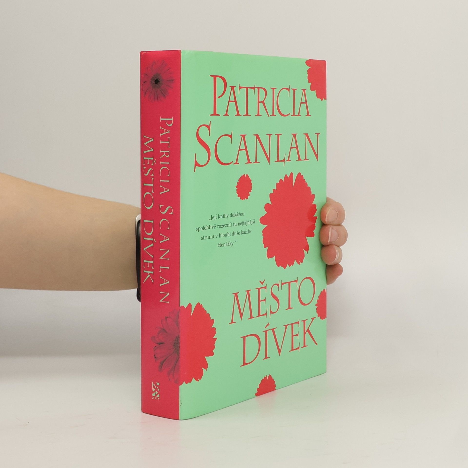 Patricia Scanlan Město dívek