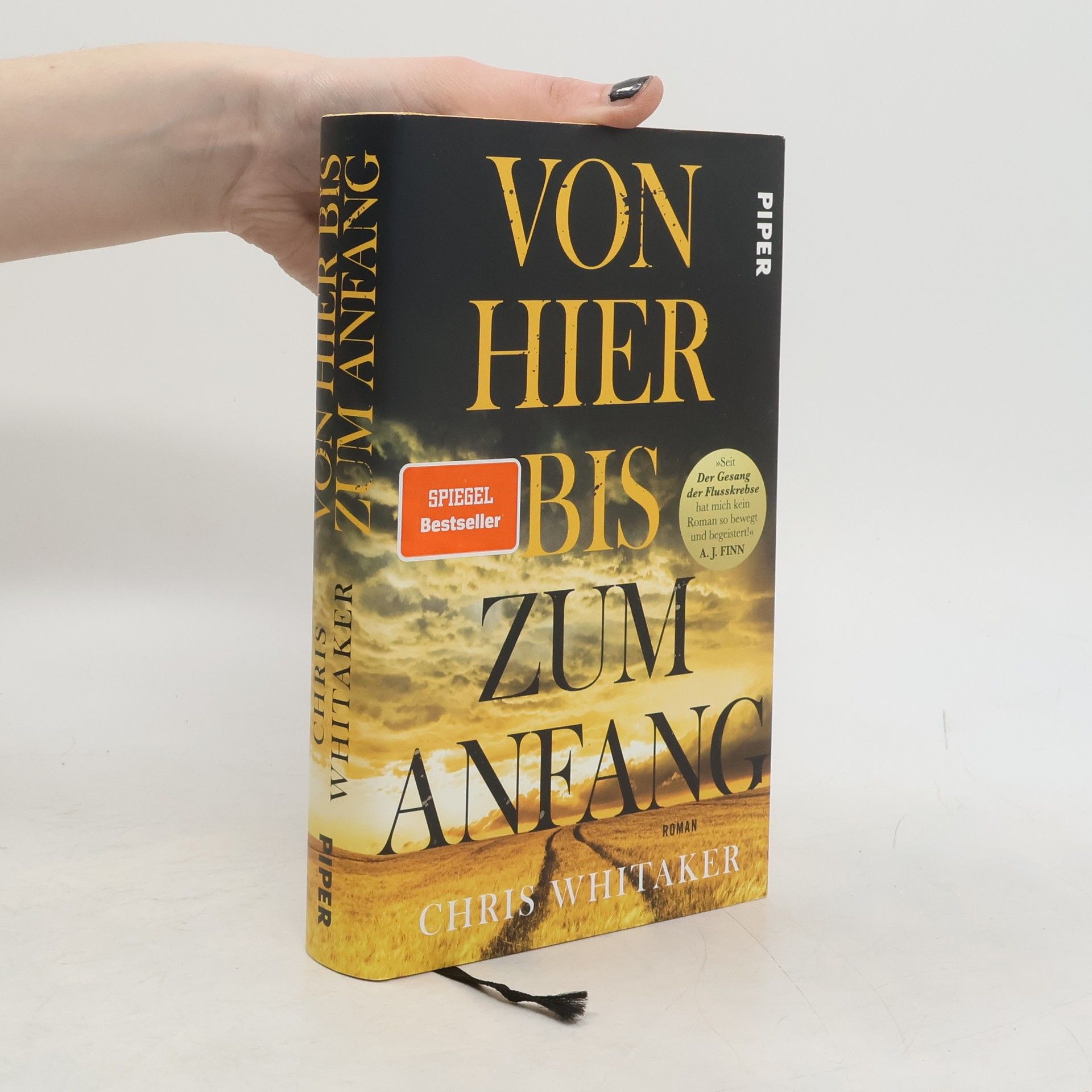 Chris Whitaker Von hier bis zum anfang