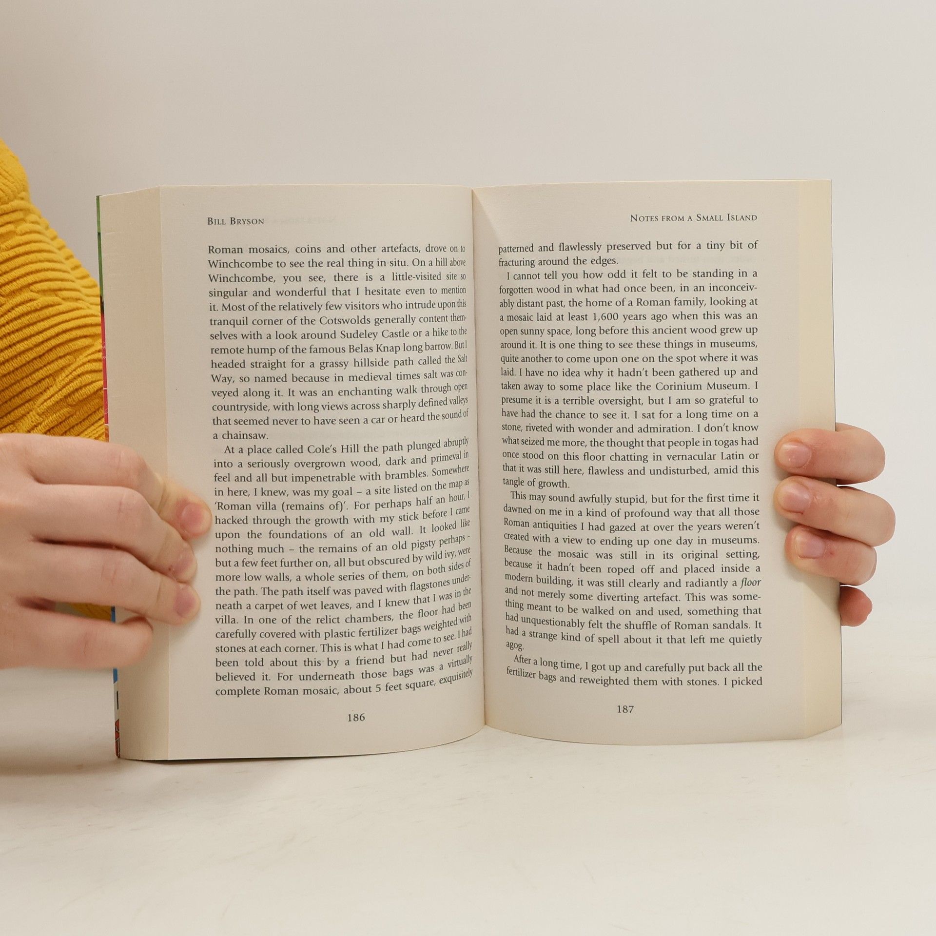 Bill Bryson Notes from a Small Island
