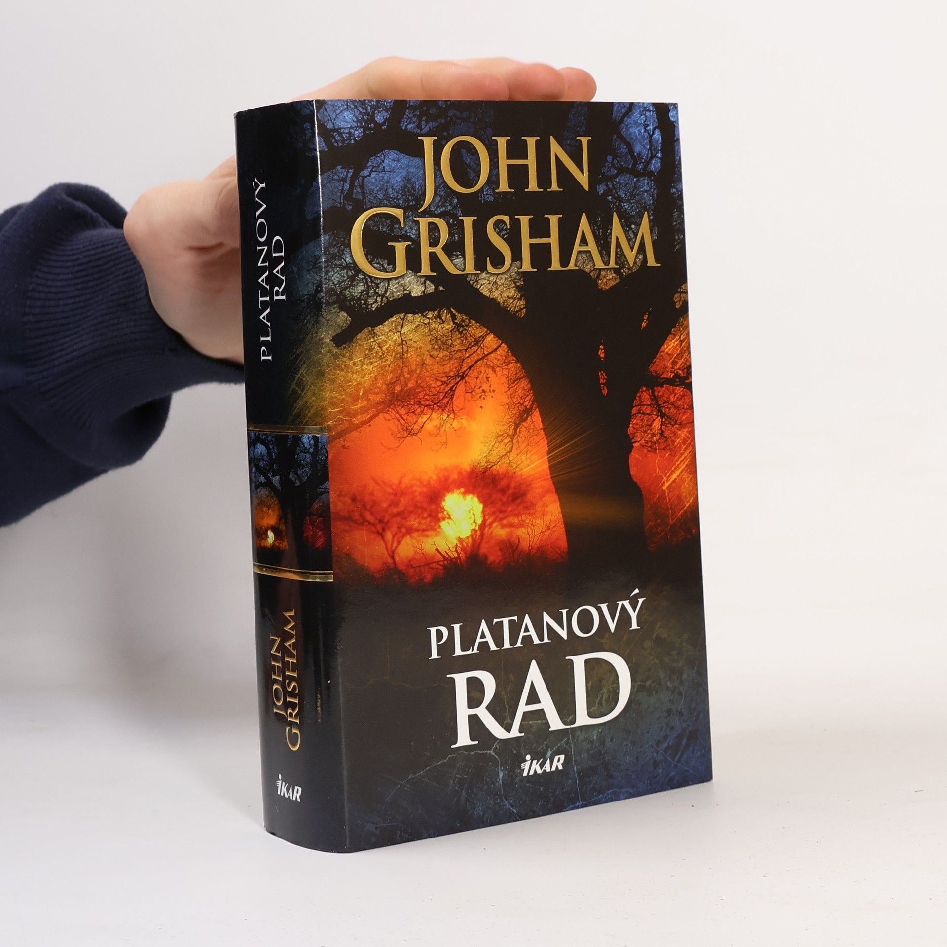 John Grisham Platanový rad