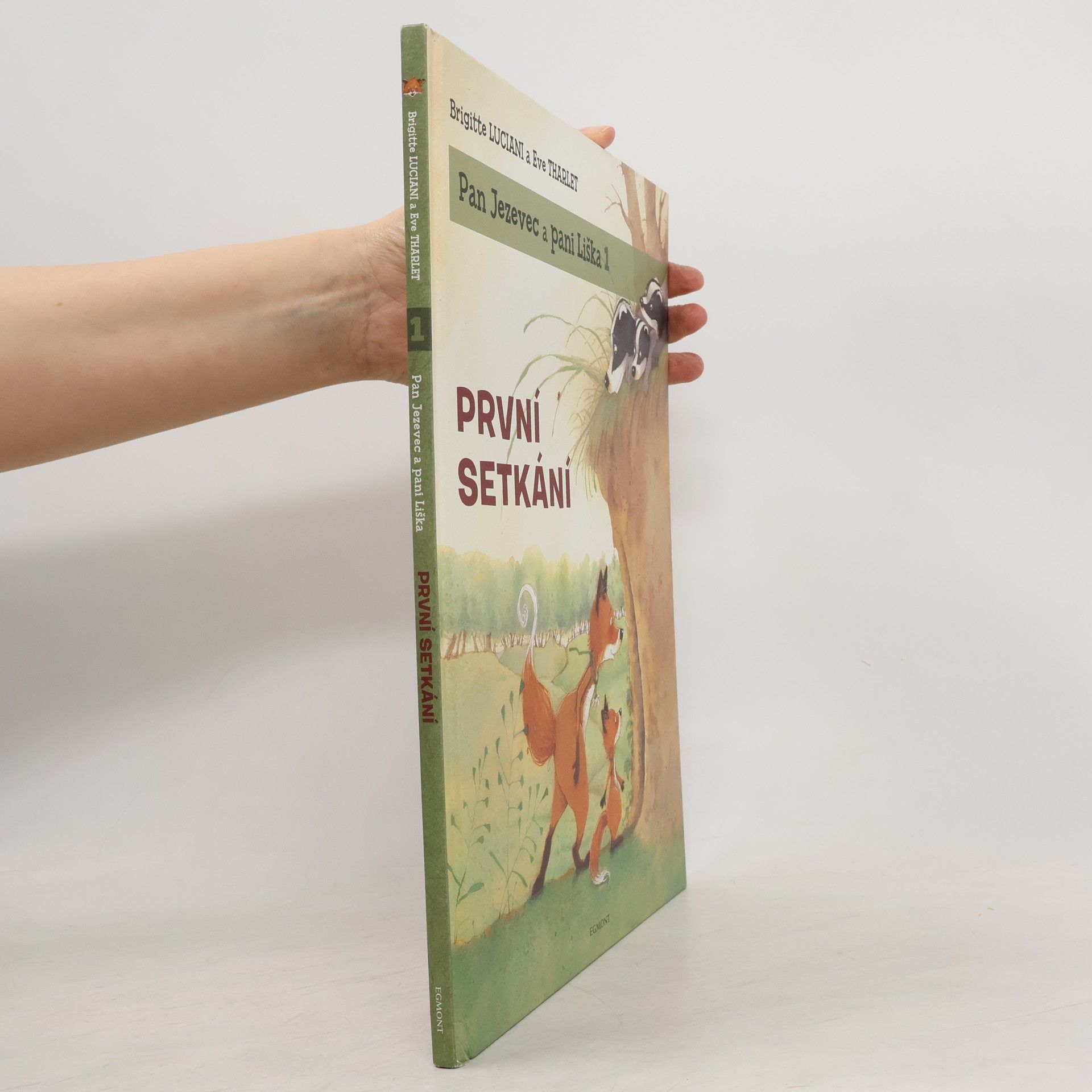 Brigitte Luciani První setkání