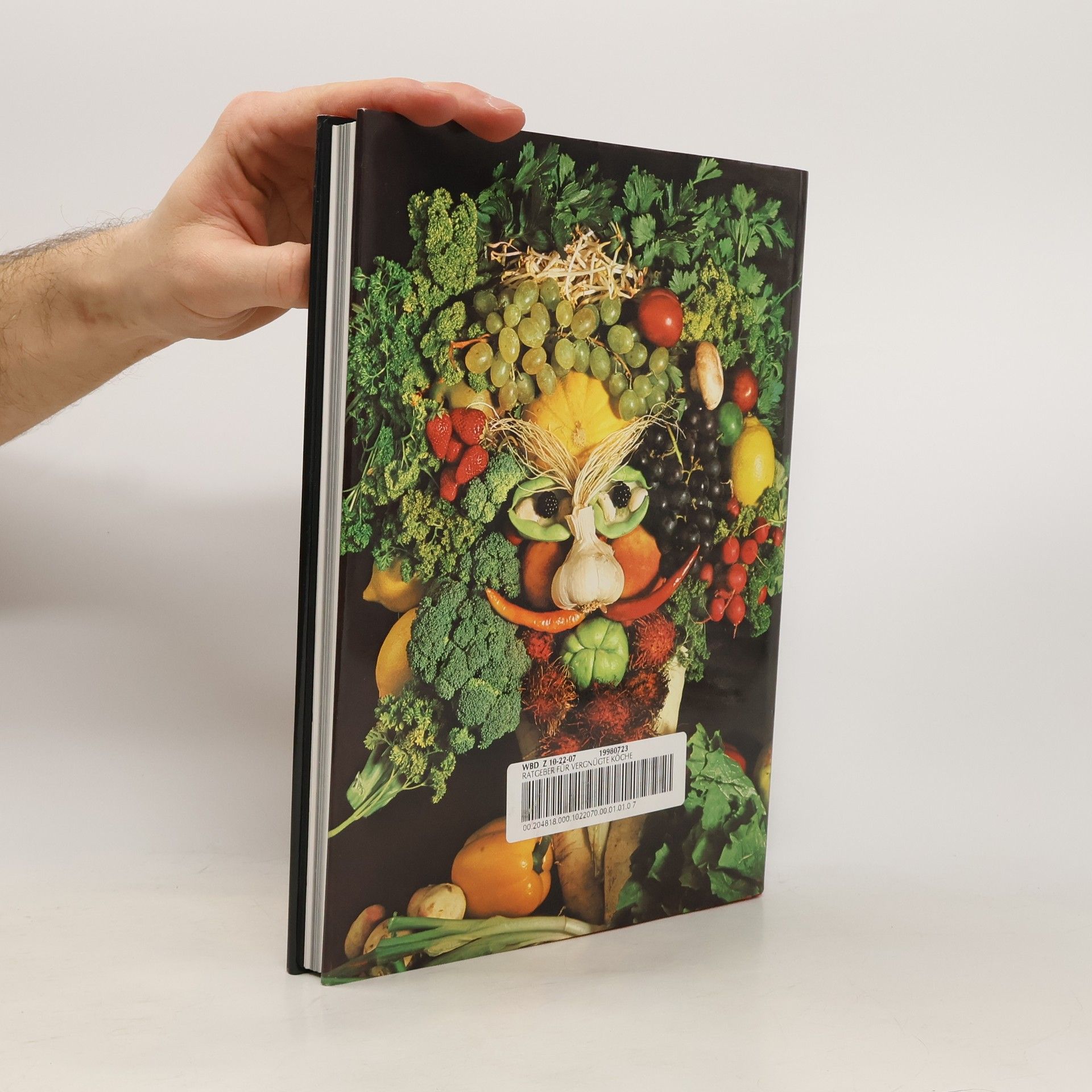 Autorenkollektiv DuMonts phantasievoller Ratgeber für vergnügte Köche