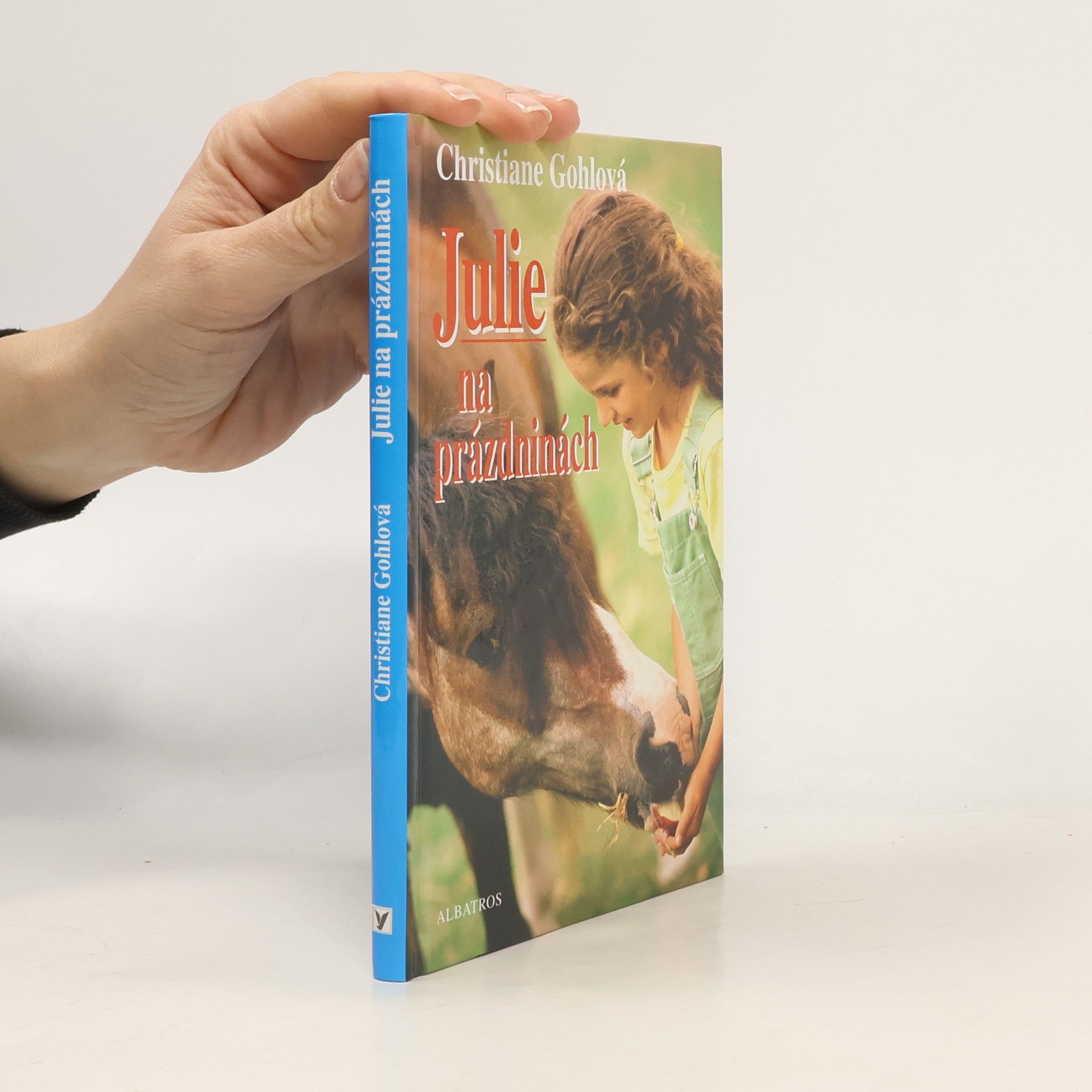 Christiane Gohl Julie na prázdninách