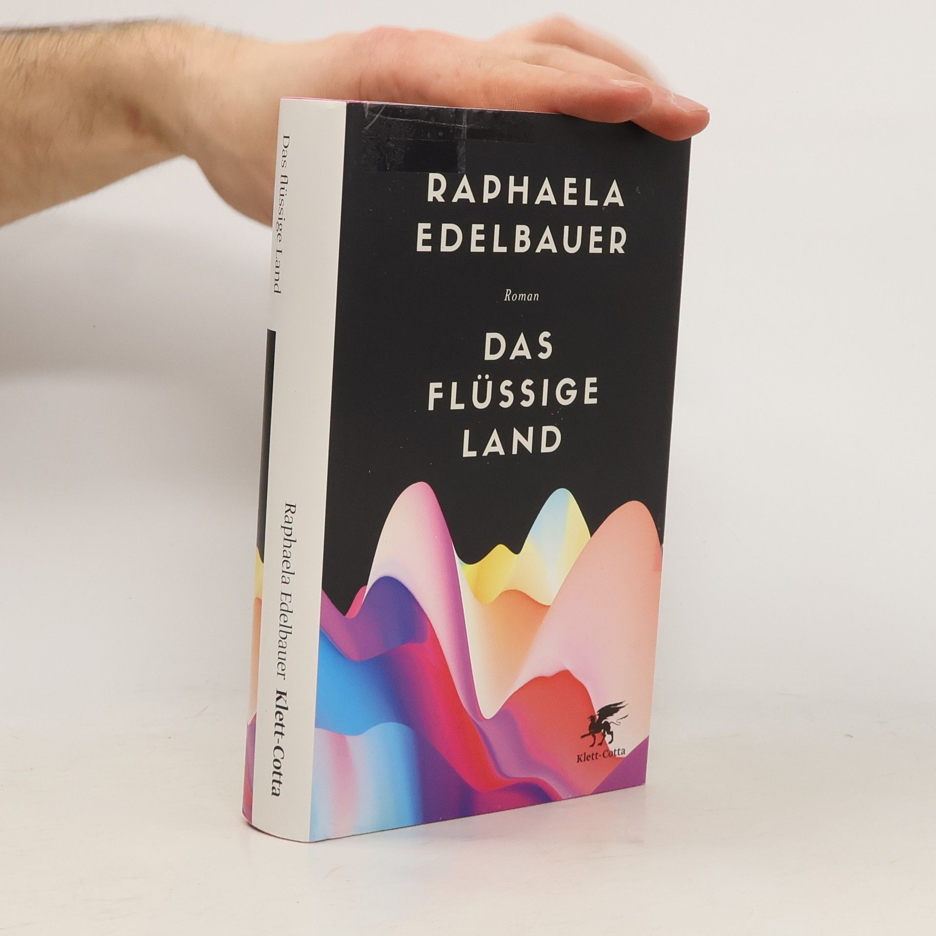Raphaela Edelbauer Das flüssige Land