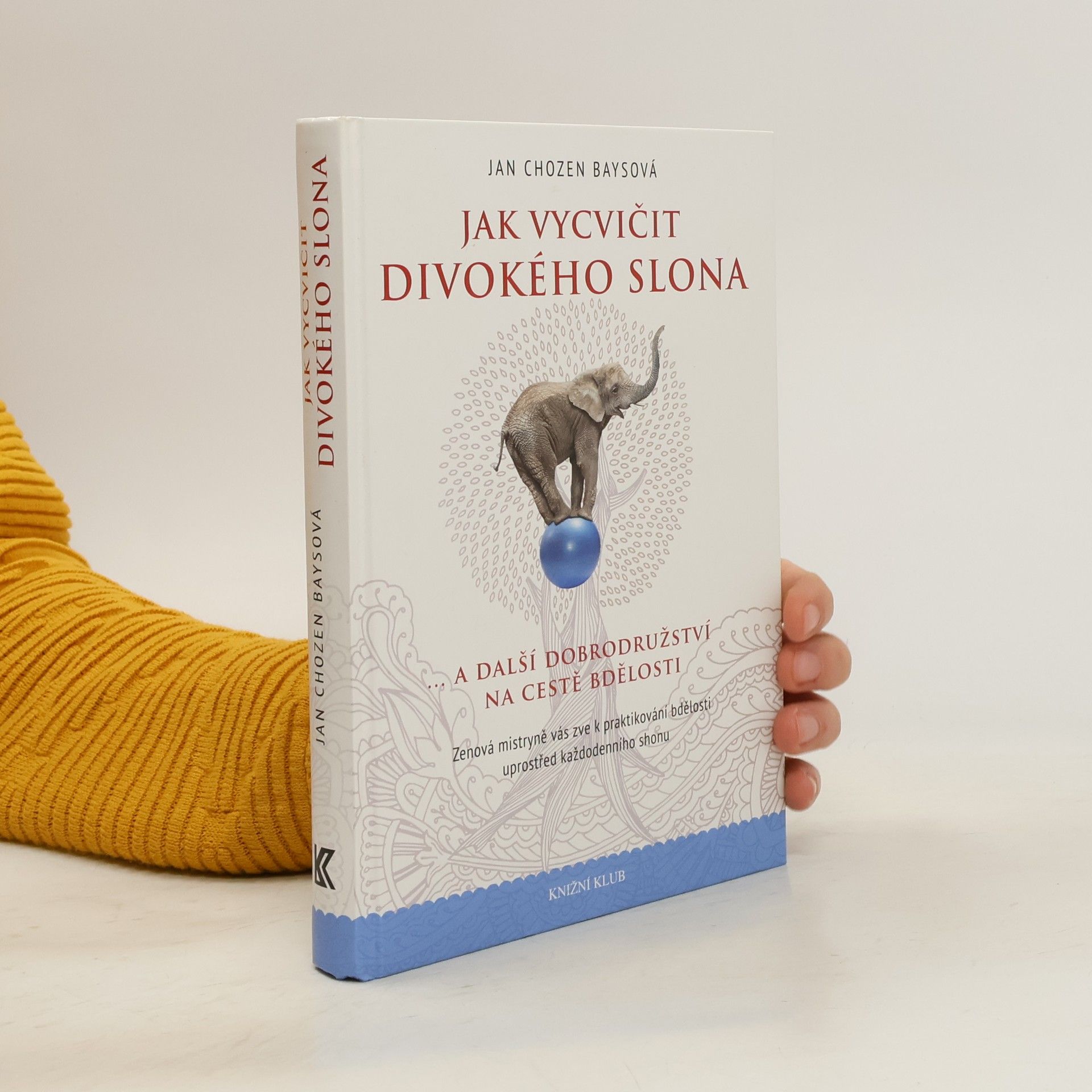 Jan Chozen Bays Jak vycvičit divokého slona...a další dobrodružství na cestě bdělosti