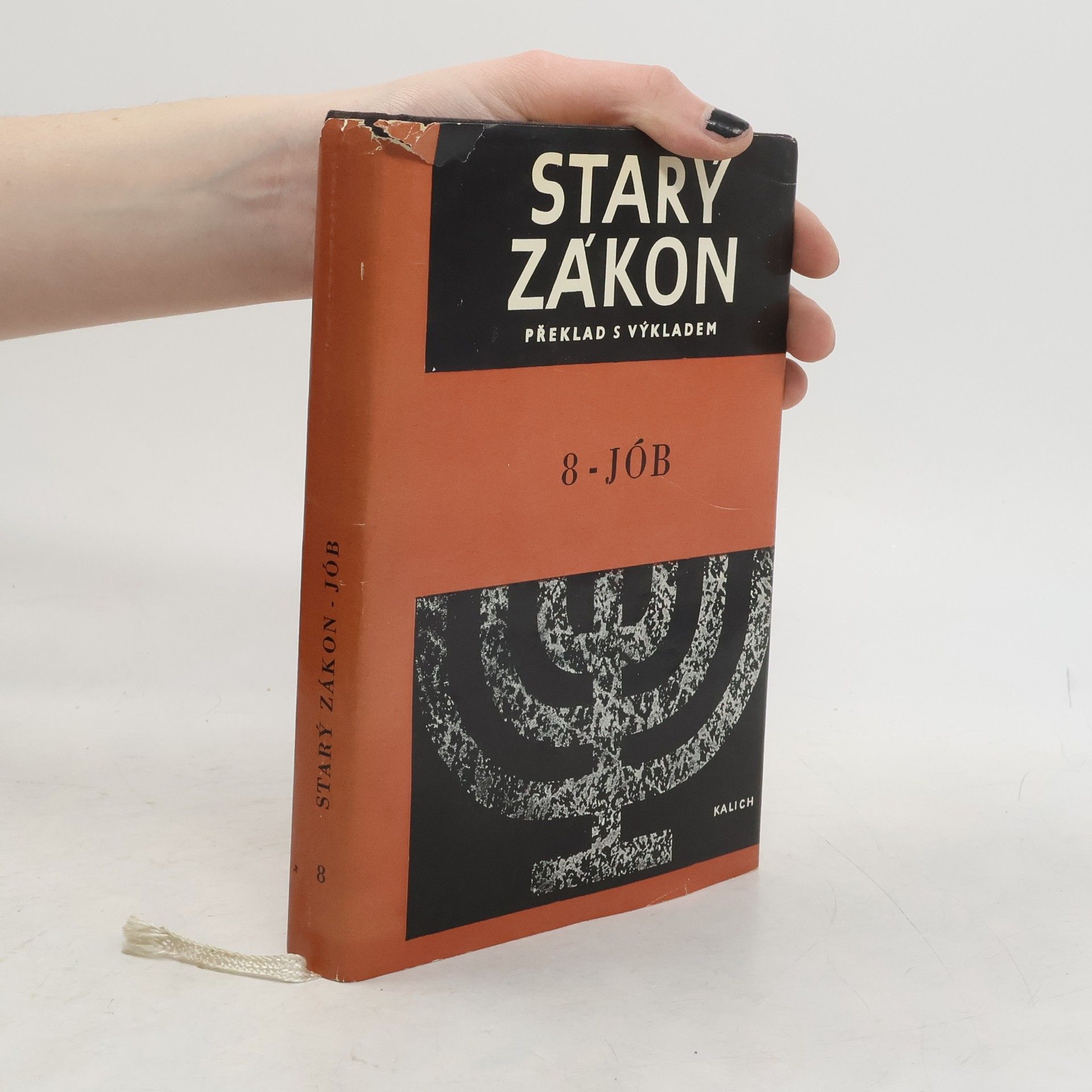 Kolektiv autorů Starý zákon 8. Jób