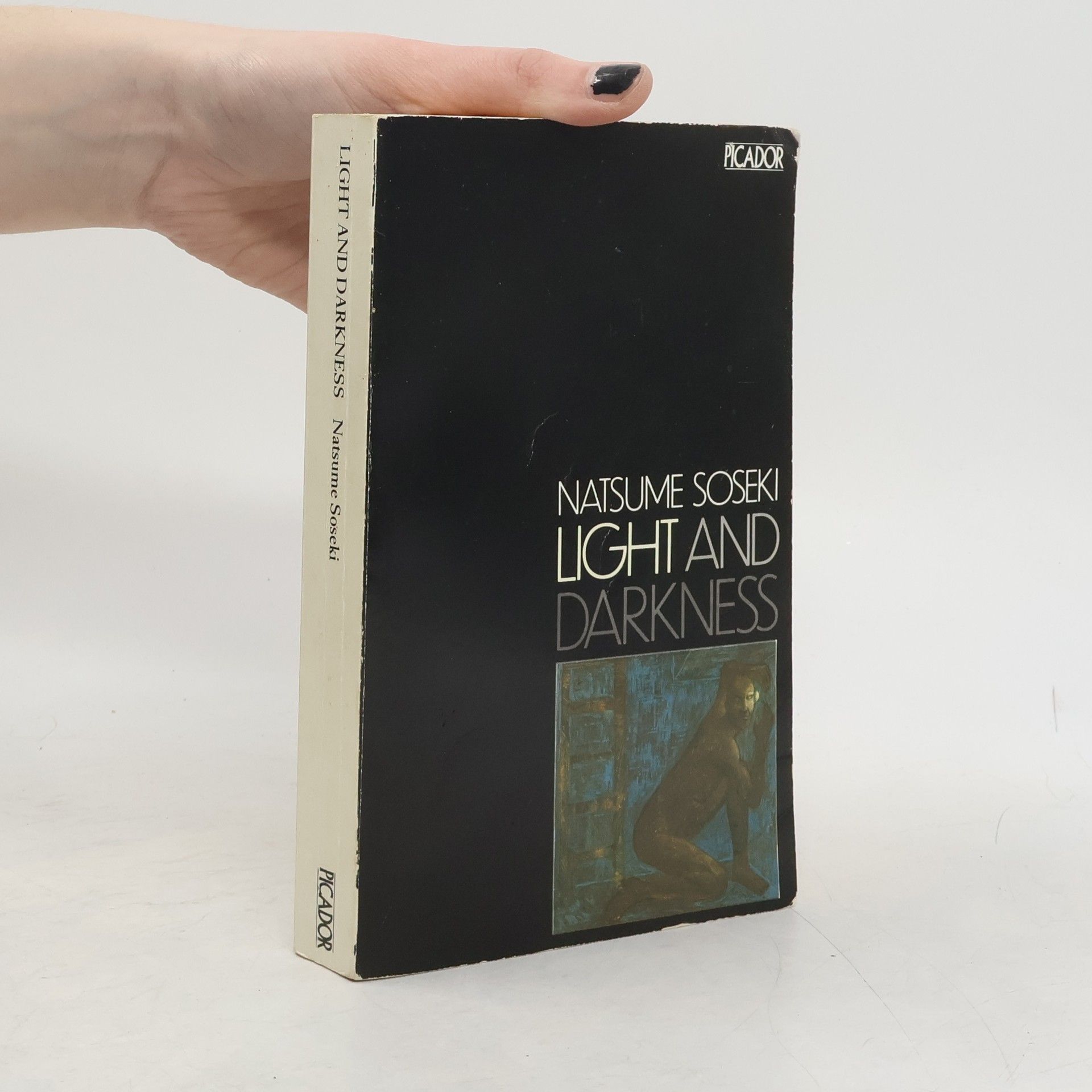 Natsume Sōseki Light and Darkness