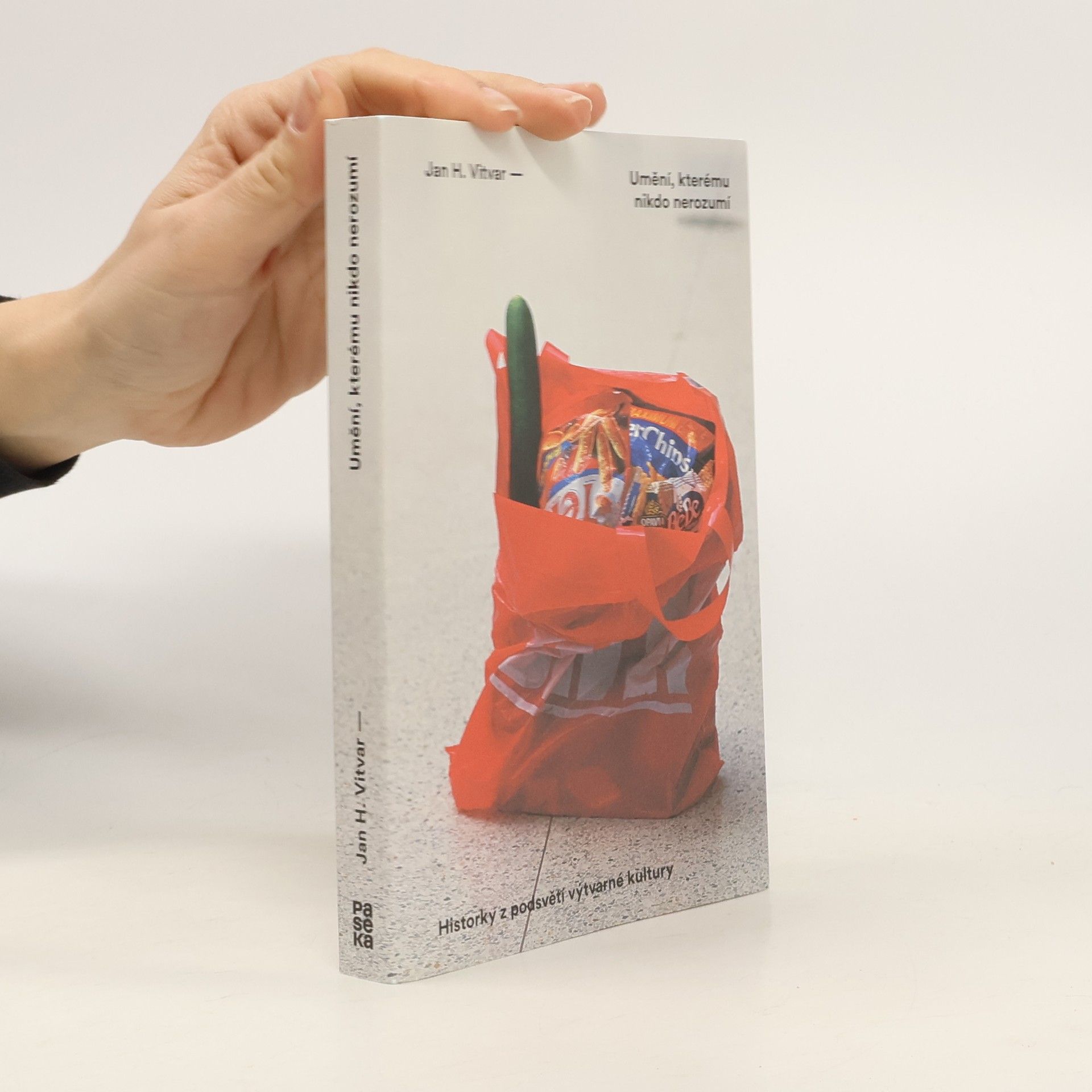 Jan H. Vitvar Umění, kterému nikdo nerozumí : historky z podsvětí výtvarné kultury