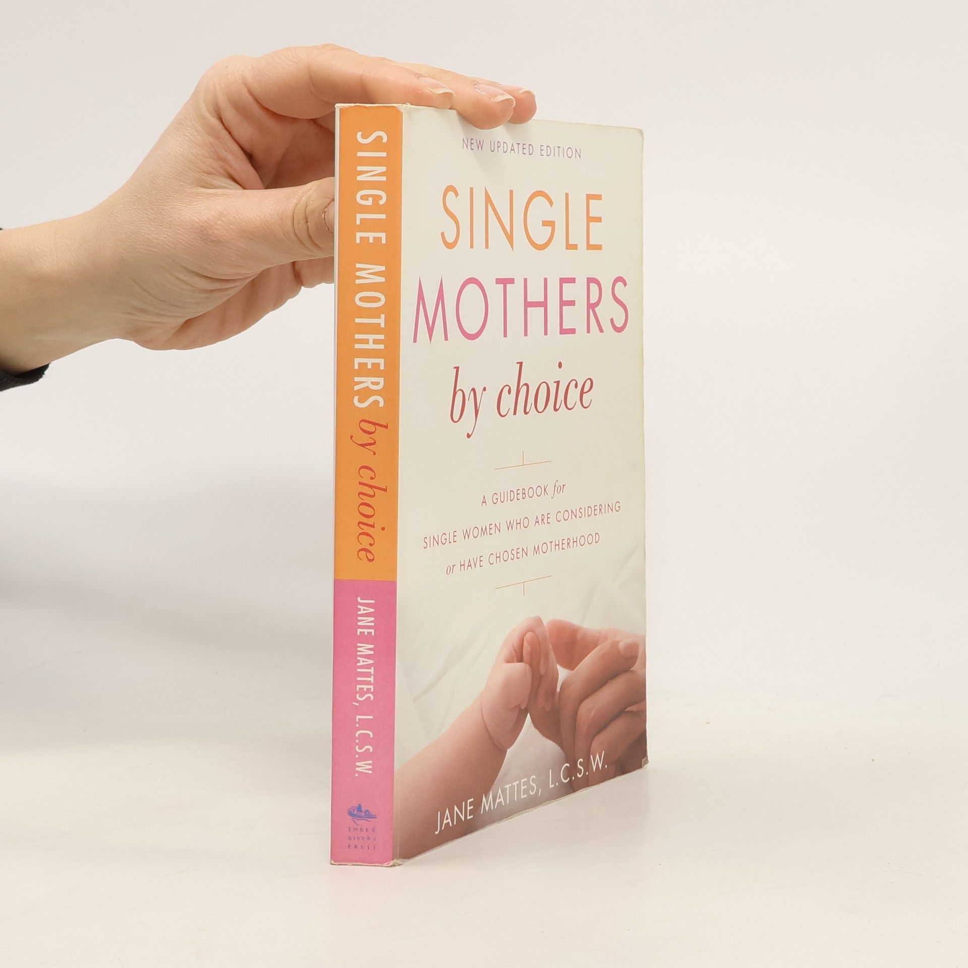 Jane Mattes Single Mothers by Choice