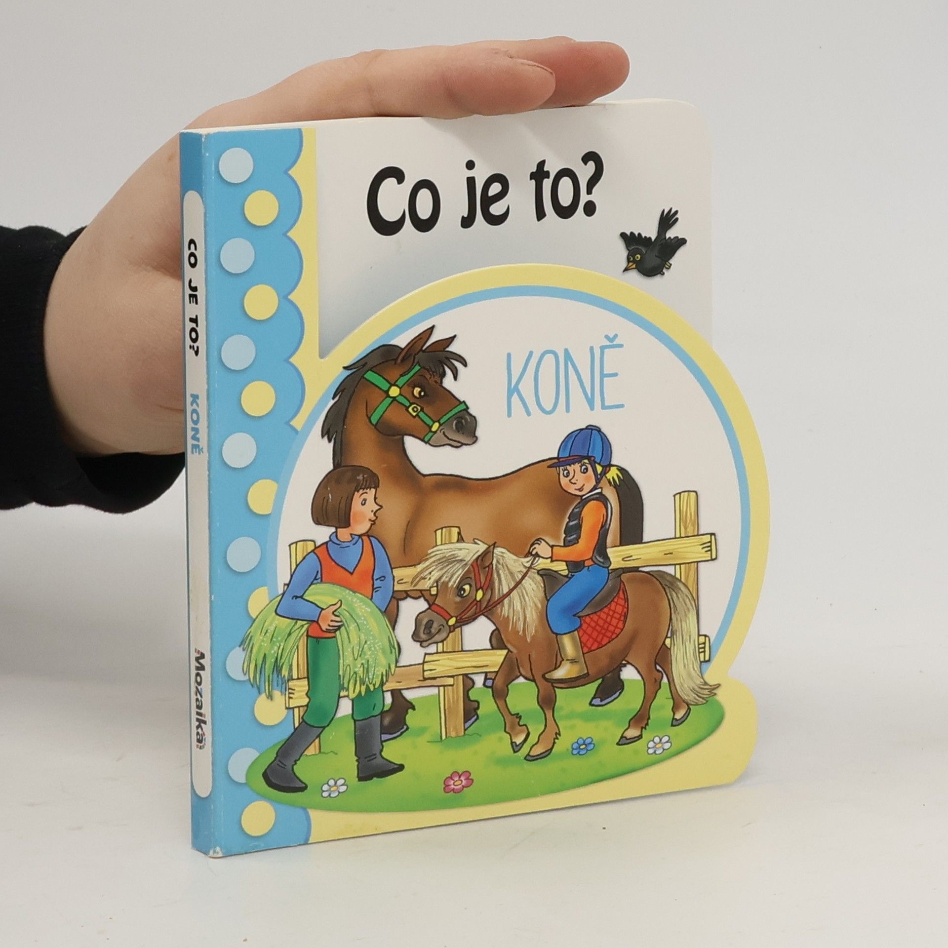 Collectif d'auteurs Co je to? Koně