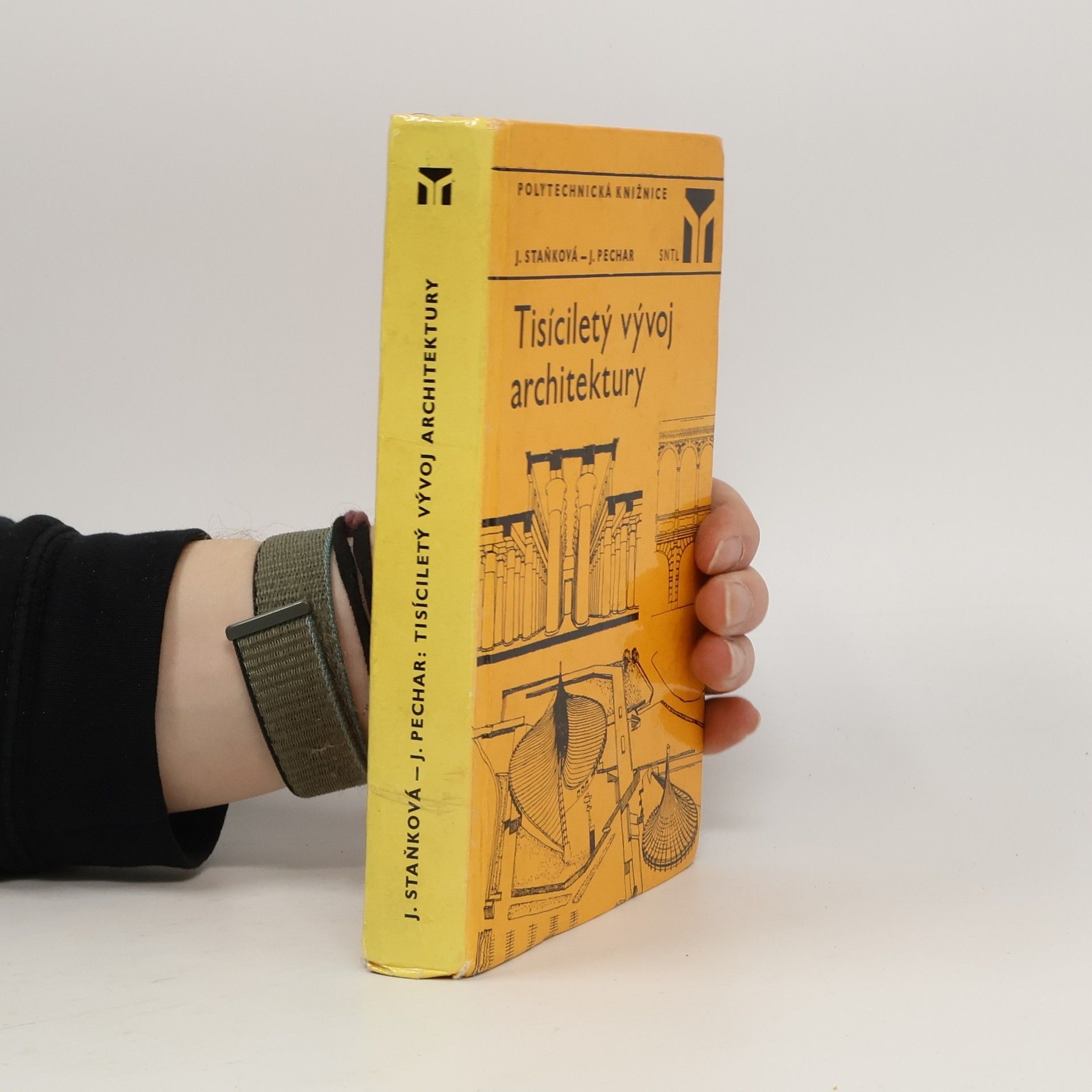 Jaroslava Staňková Tisíciletý vývoj architektury
